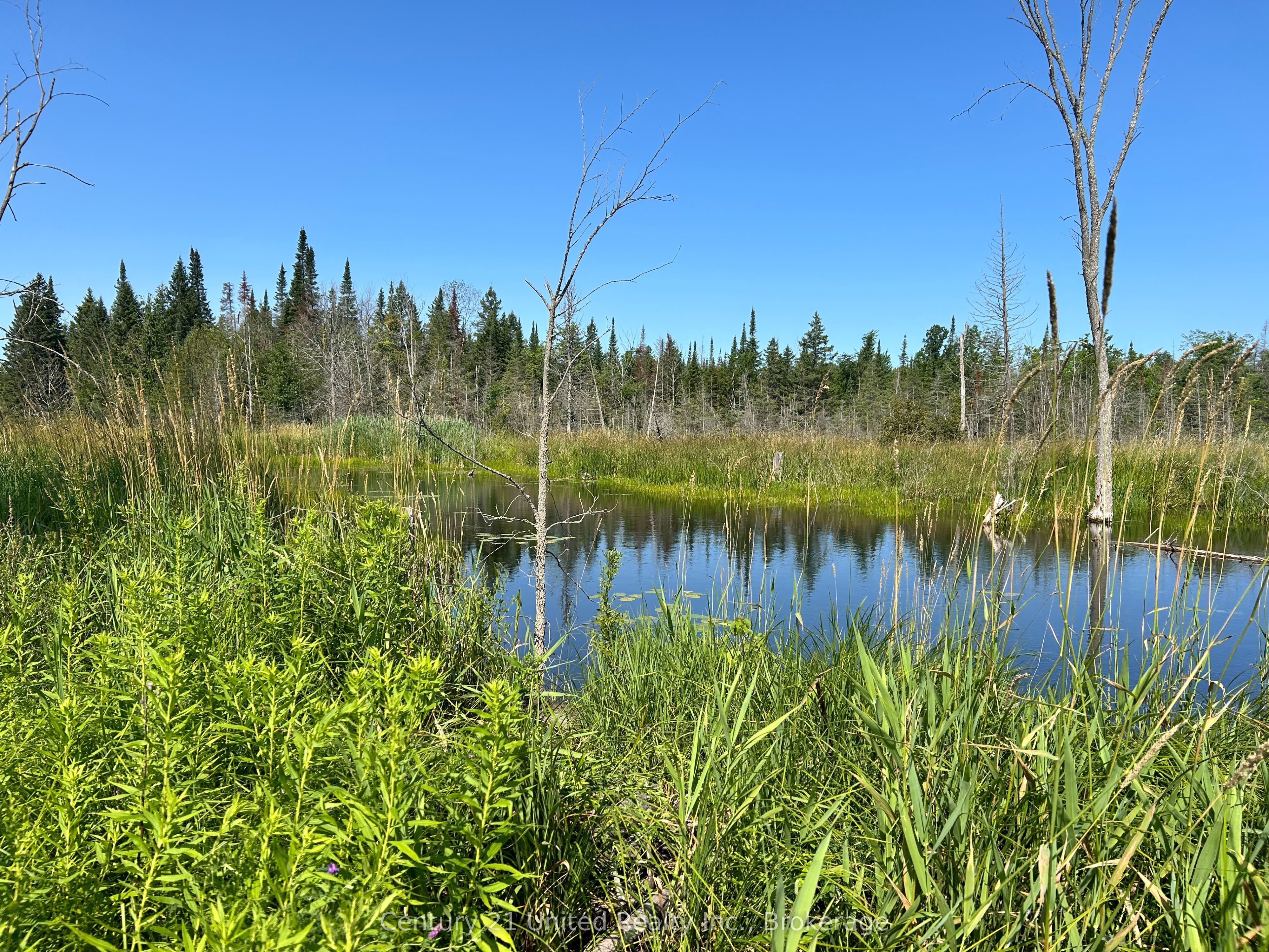 00 Highway 7 Property Photo 3