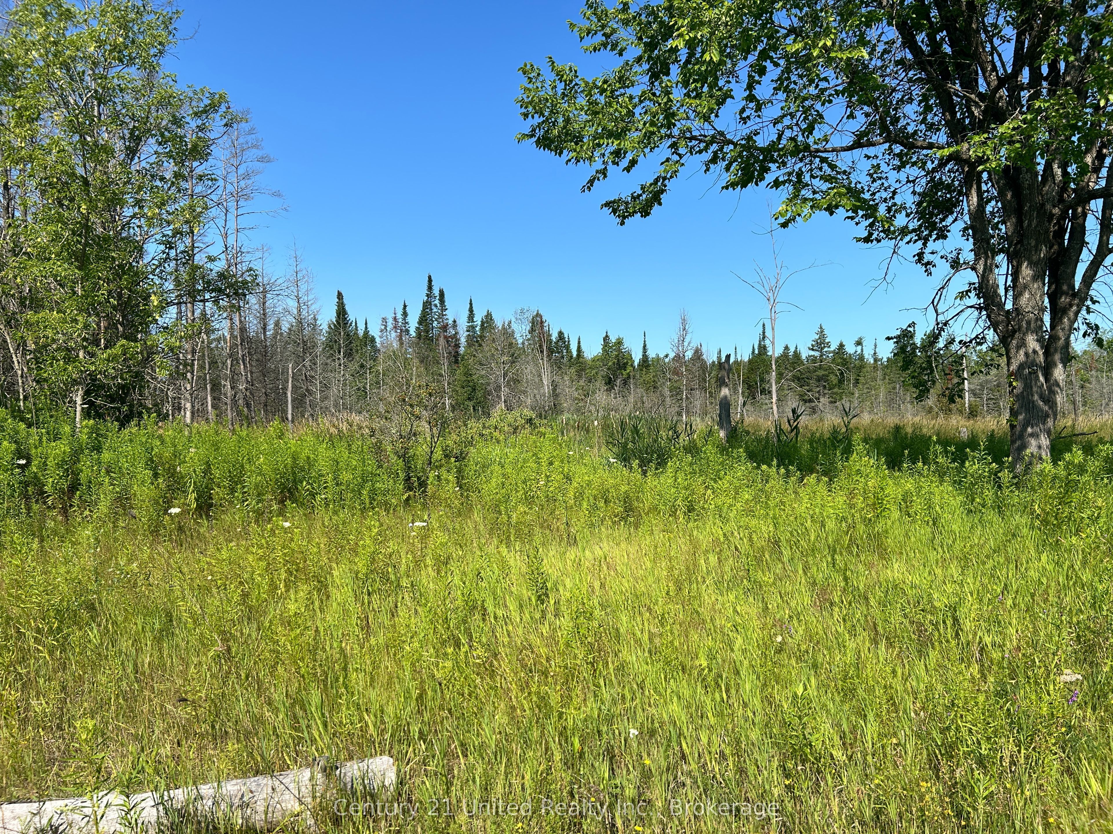 00 Highway 7 Property Photo 6