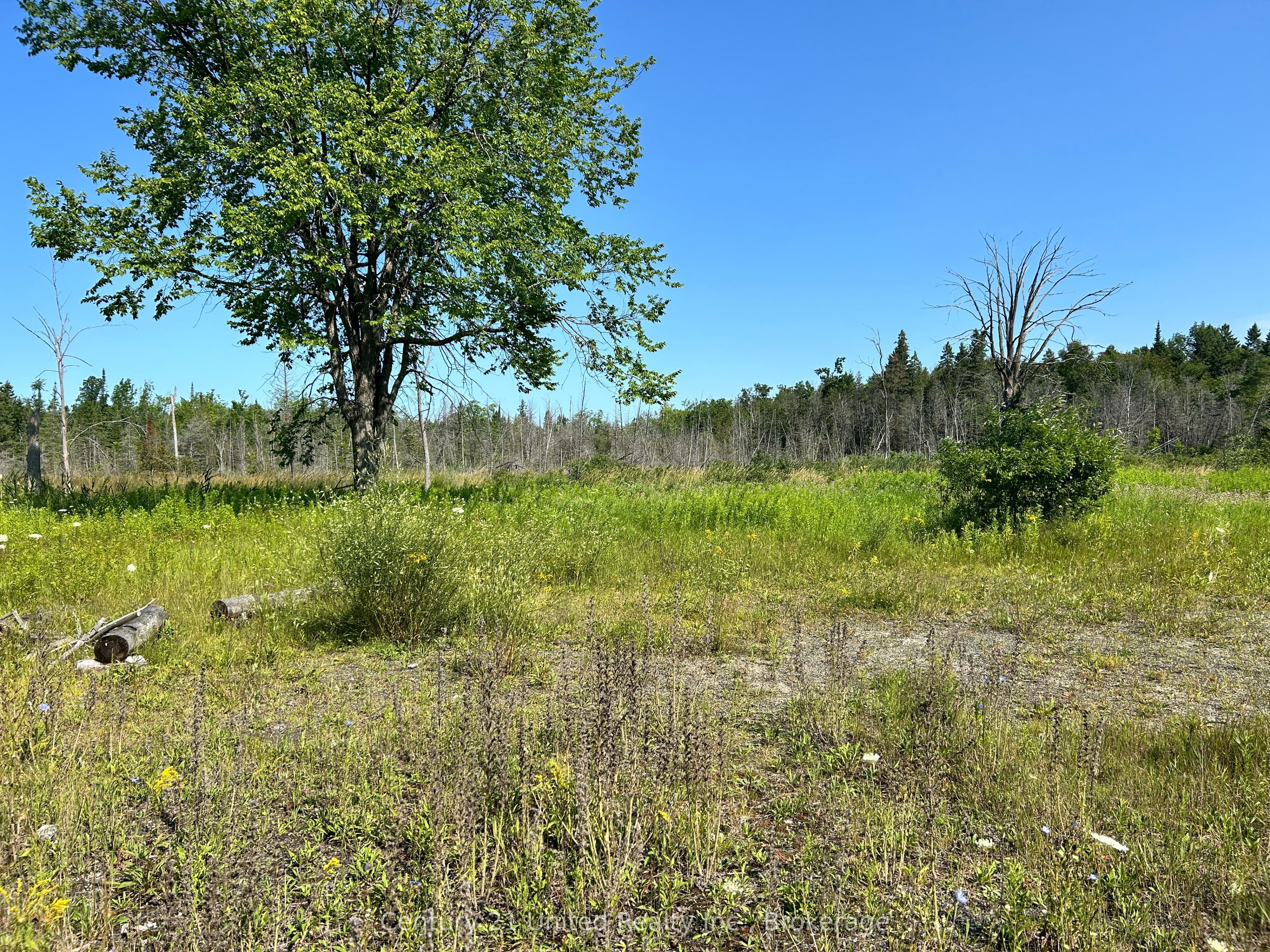 00 Highway 7 Property Photo 7