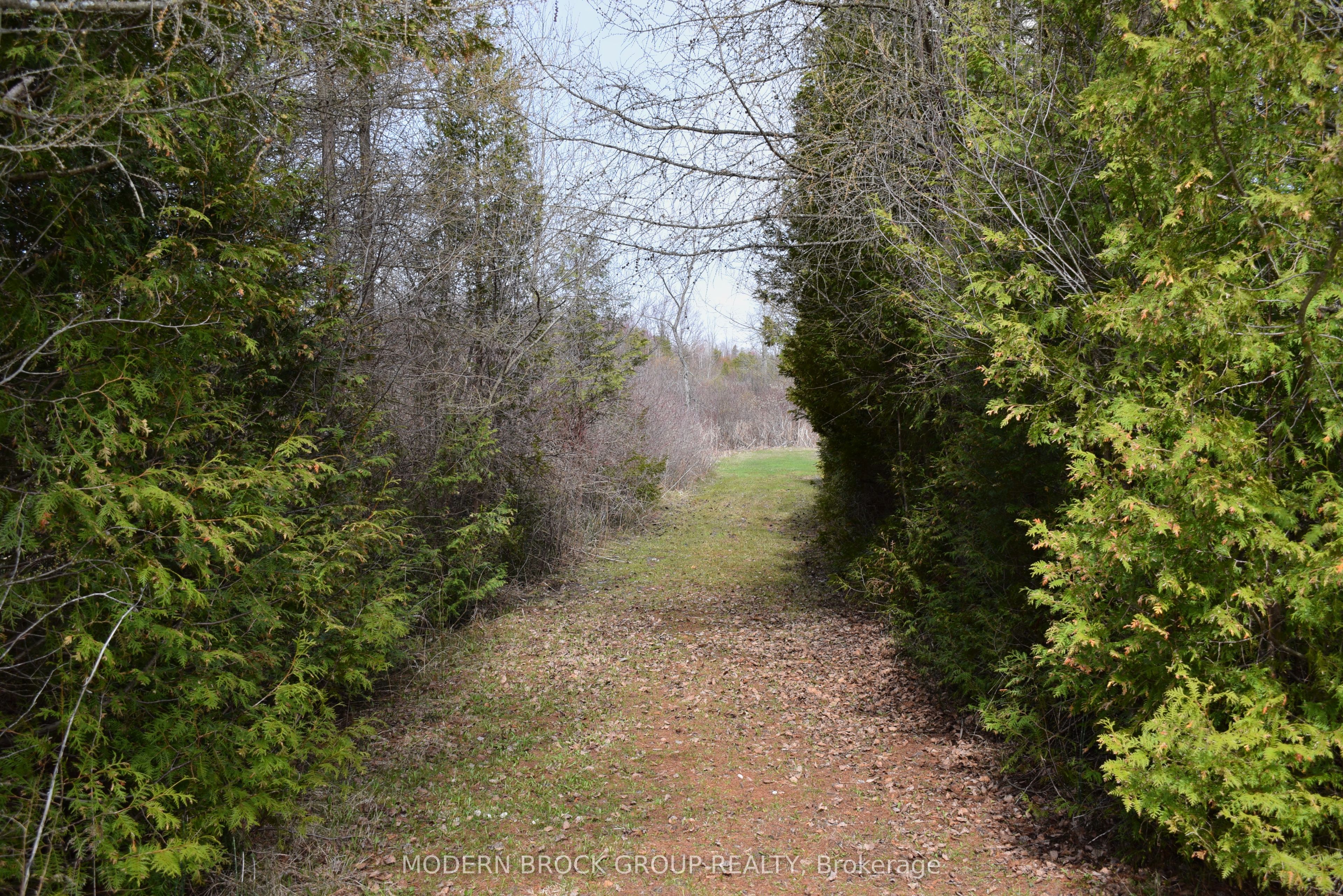 8224 County 15 Road Property Photo 16