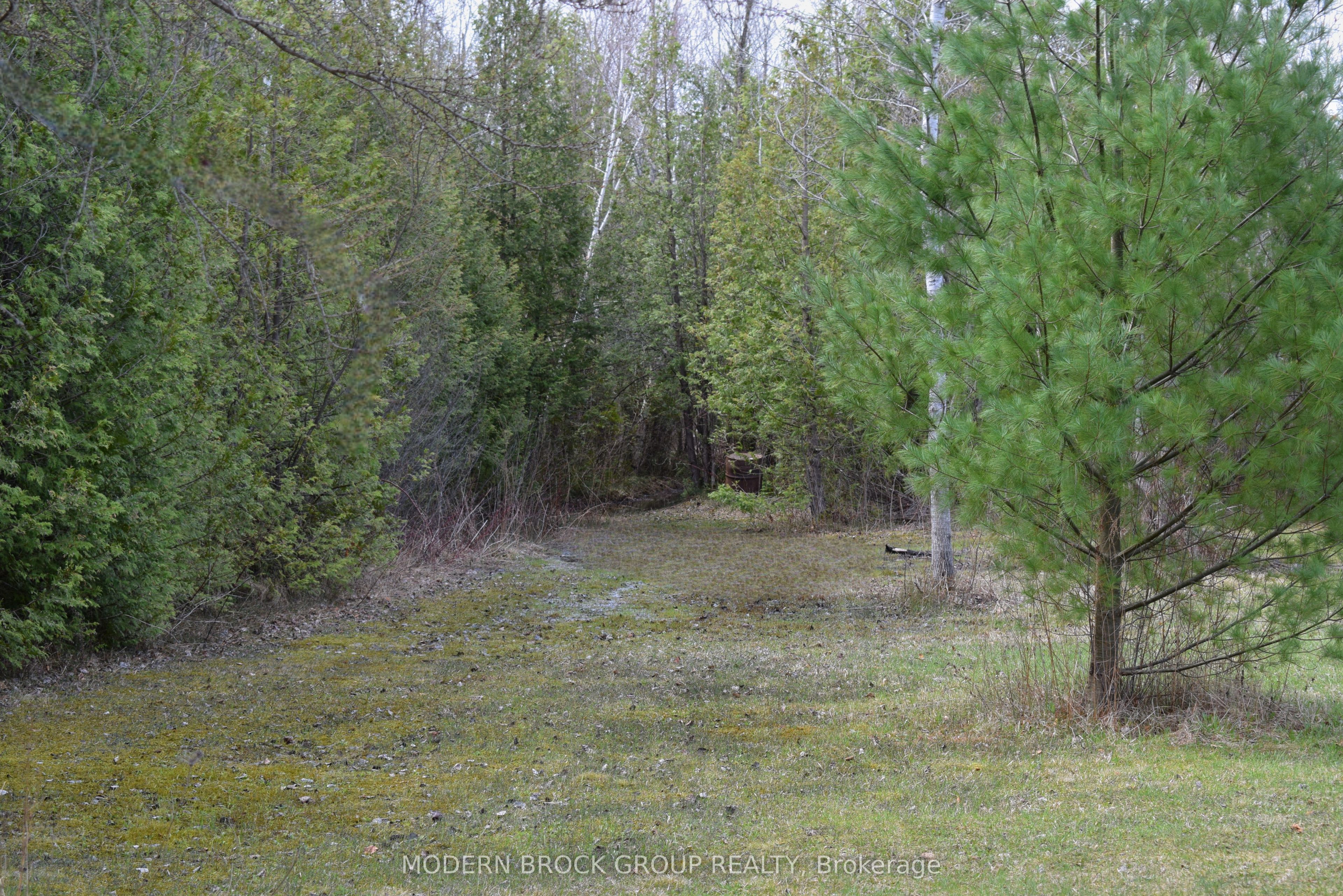 8224 County 15 Road Property Photo 43