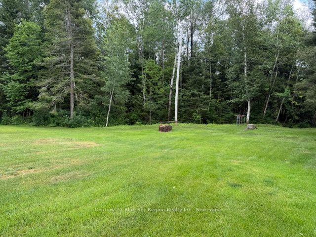 5377 Highway 11 N Property Photo 3