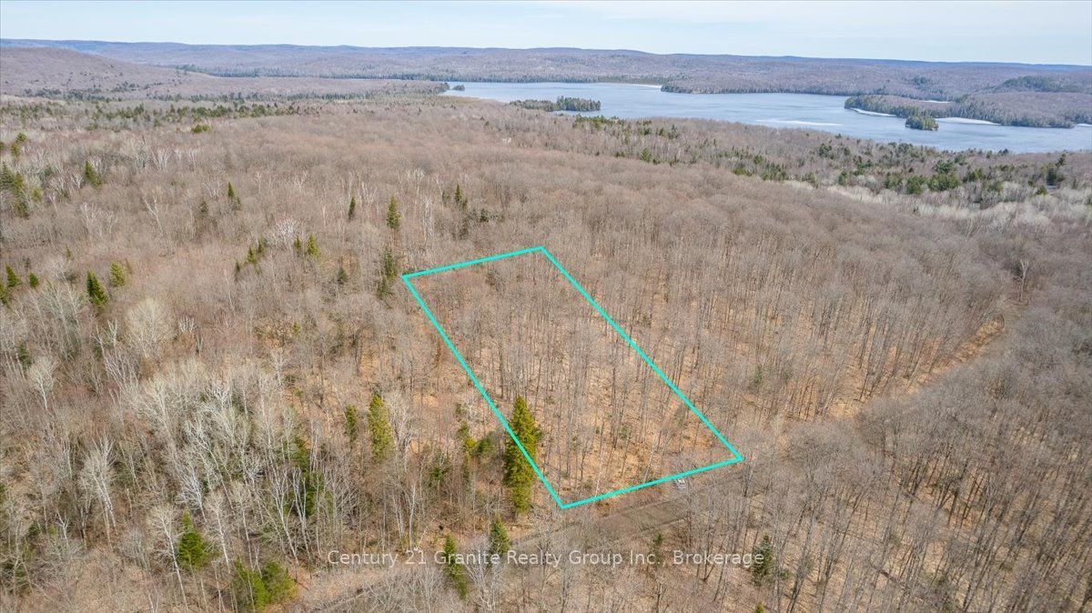 99 Forest View Road Property Photo 1