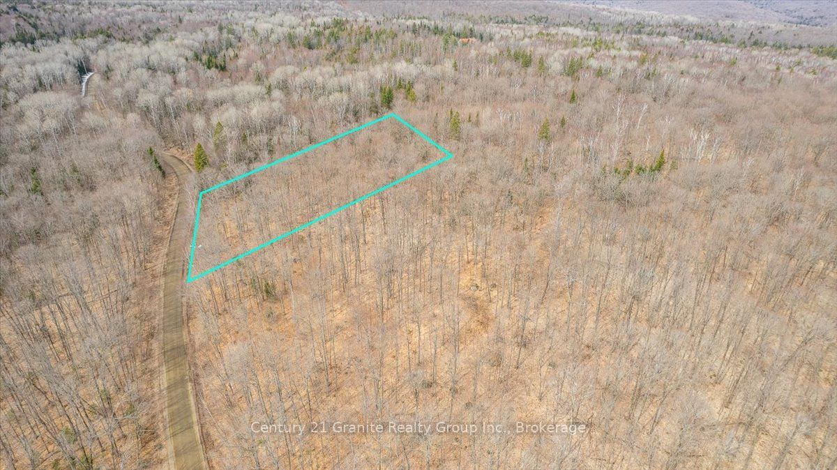 99 Forest View Road Property Photo 3