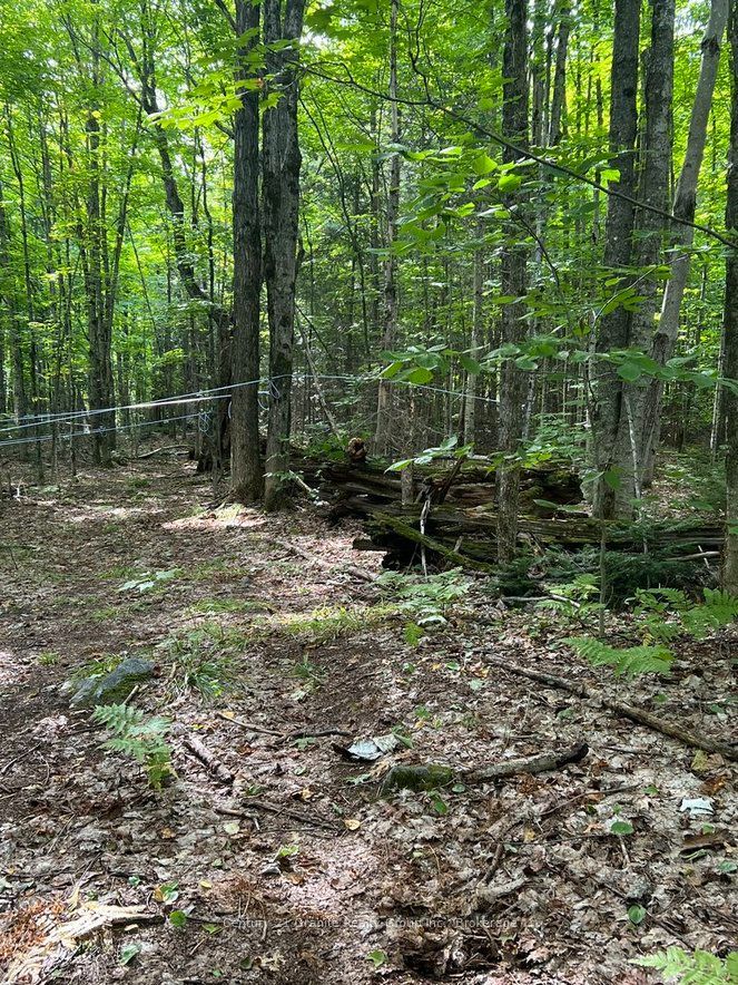 99 Forest View Road Property Photo 9