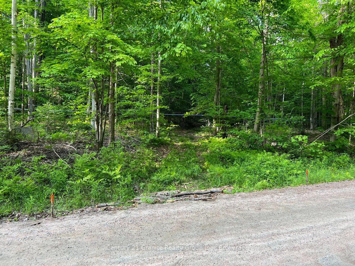 99 Forest View Road Property Photo 23