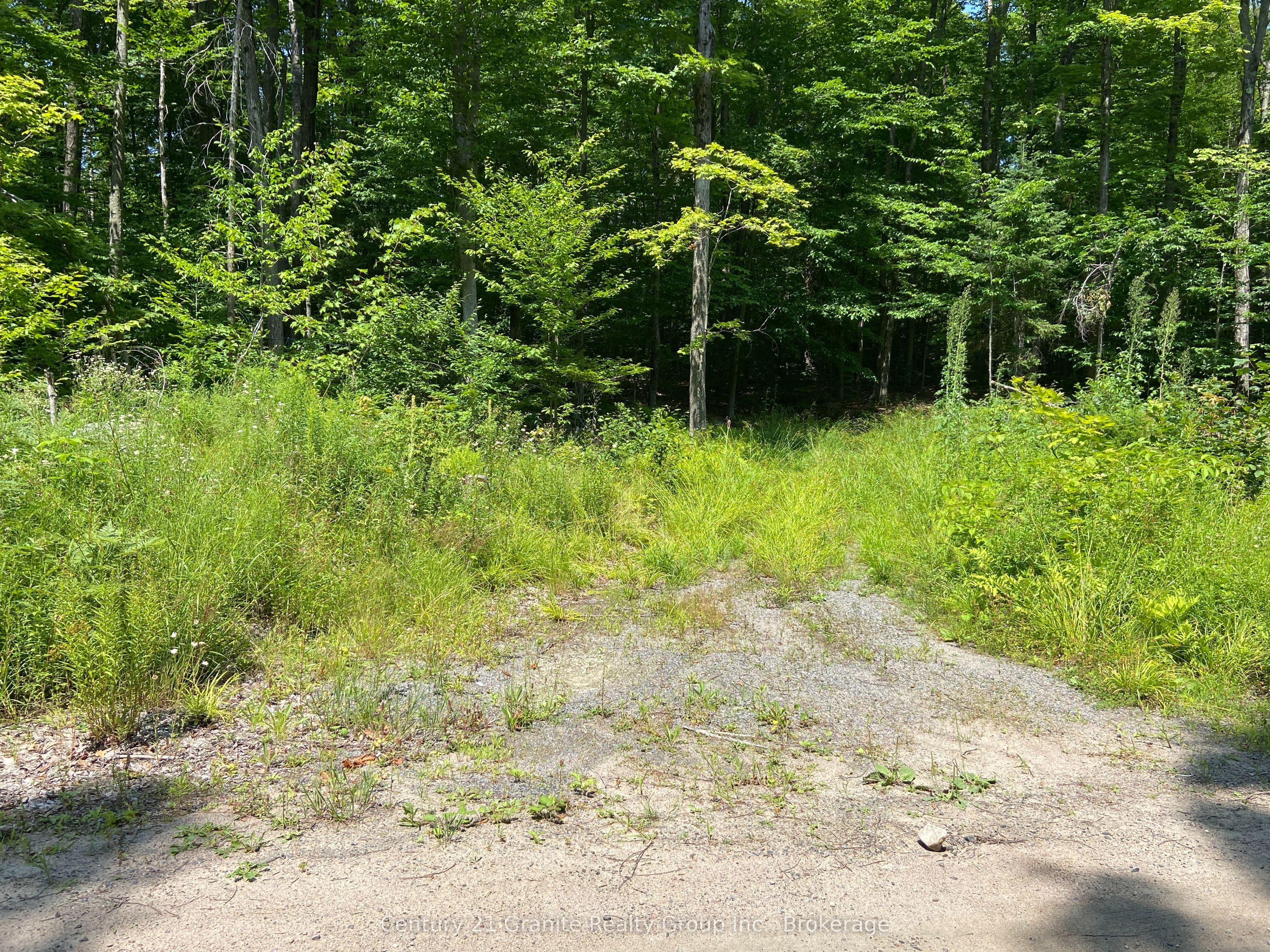 99 Forest View Road Property Photo 24