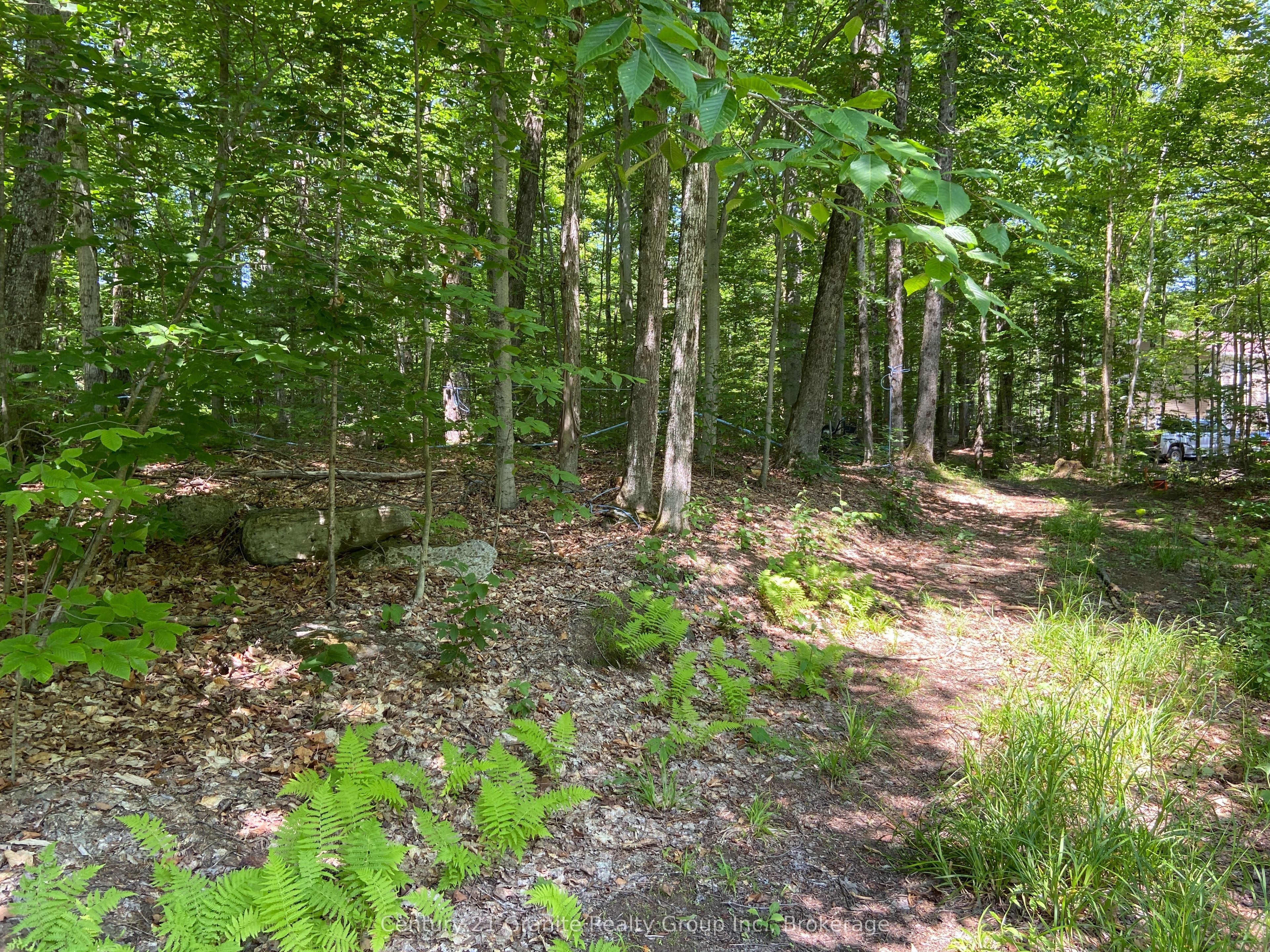 99 Forest View Road Property Photo 27