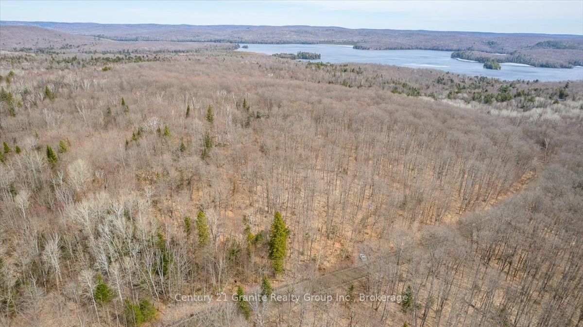 99 Forest View Road Property Photo 28