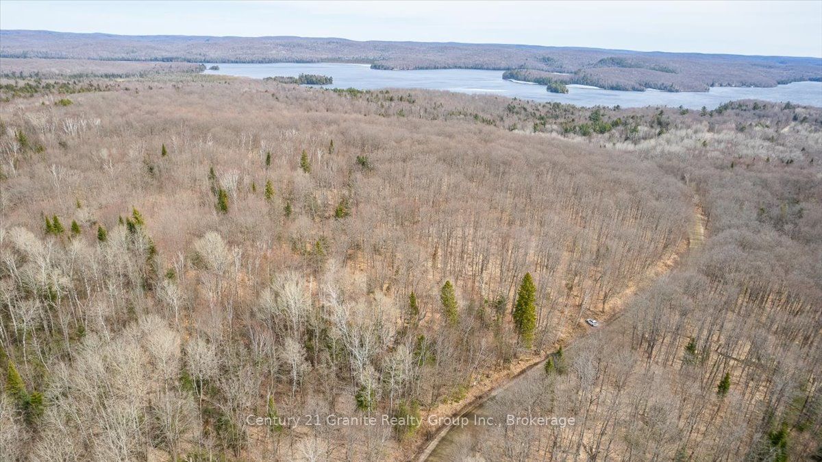 99 Forest View Road Property Photo 29