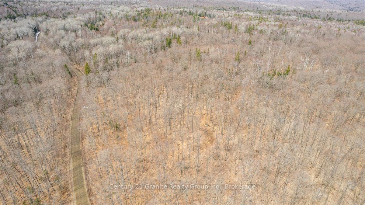 99 Forest View Road Property Photo 30