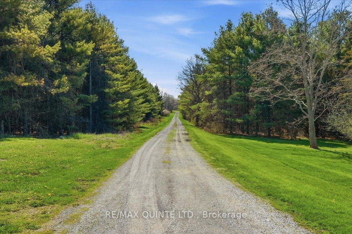 1686 County Road 13 Property Photo 37