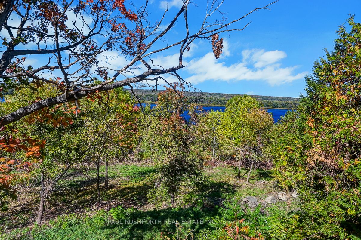 1565 Lilac Lane Property Photo 44