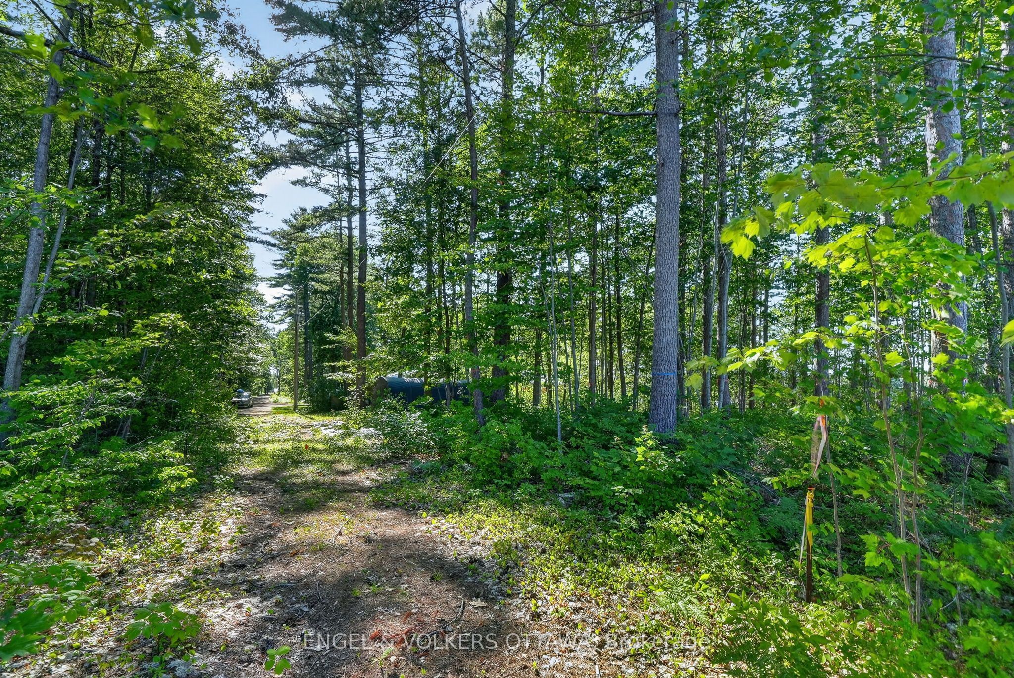 2221a Gratton Trail Property Photo 6