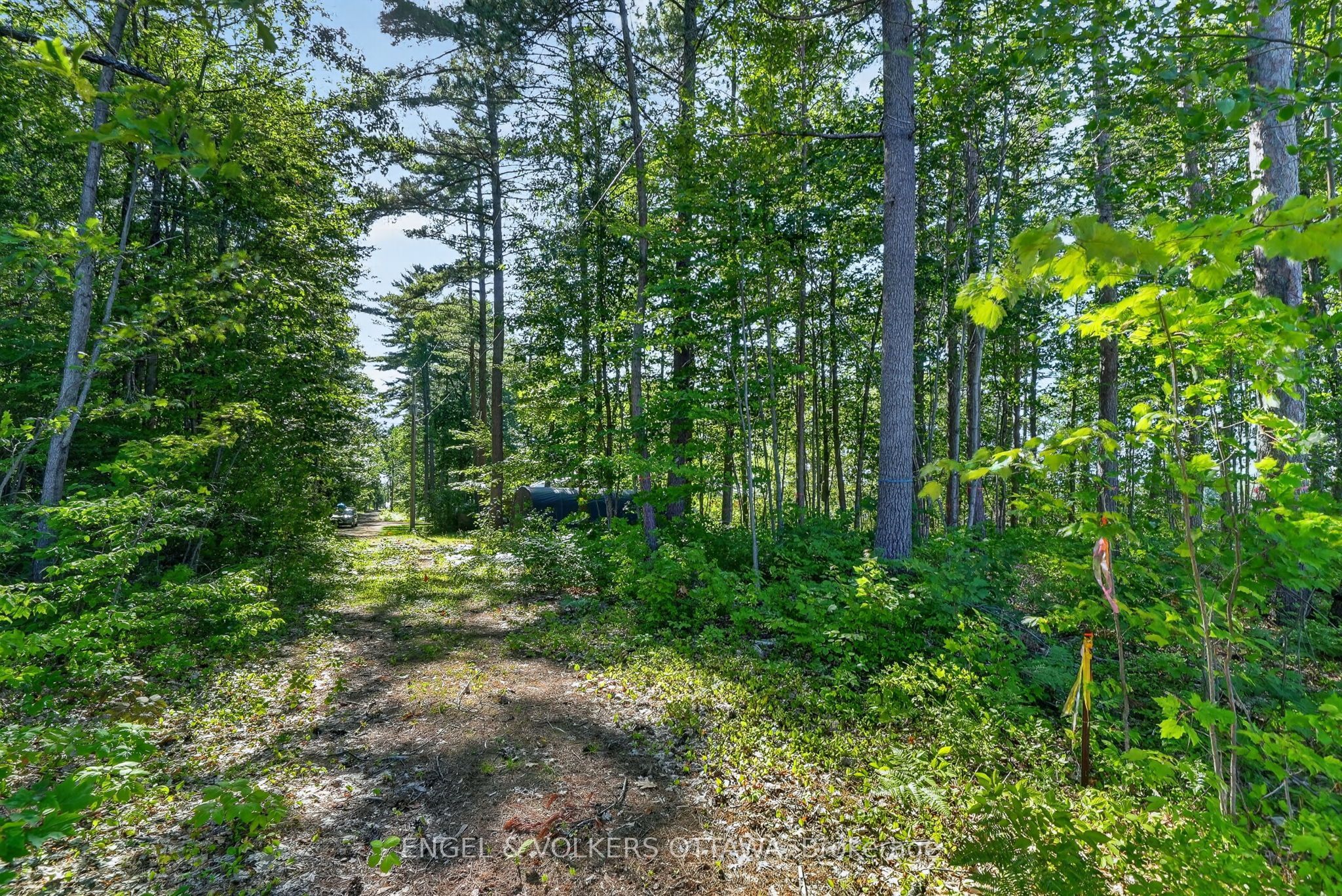 2221a Gratton Trail Property Photo 7