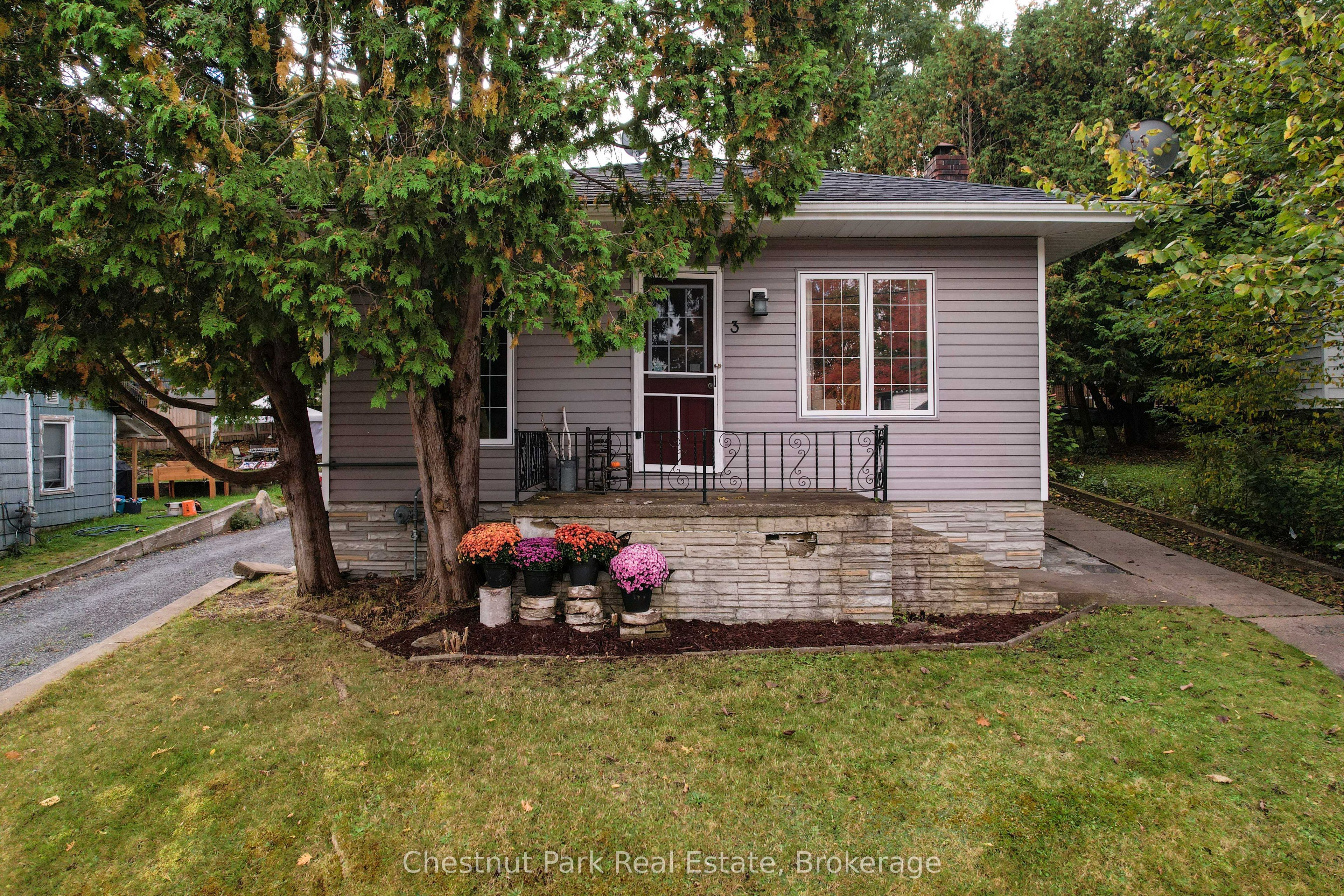 3 Cora Street E Property Photo 40