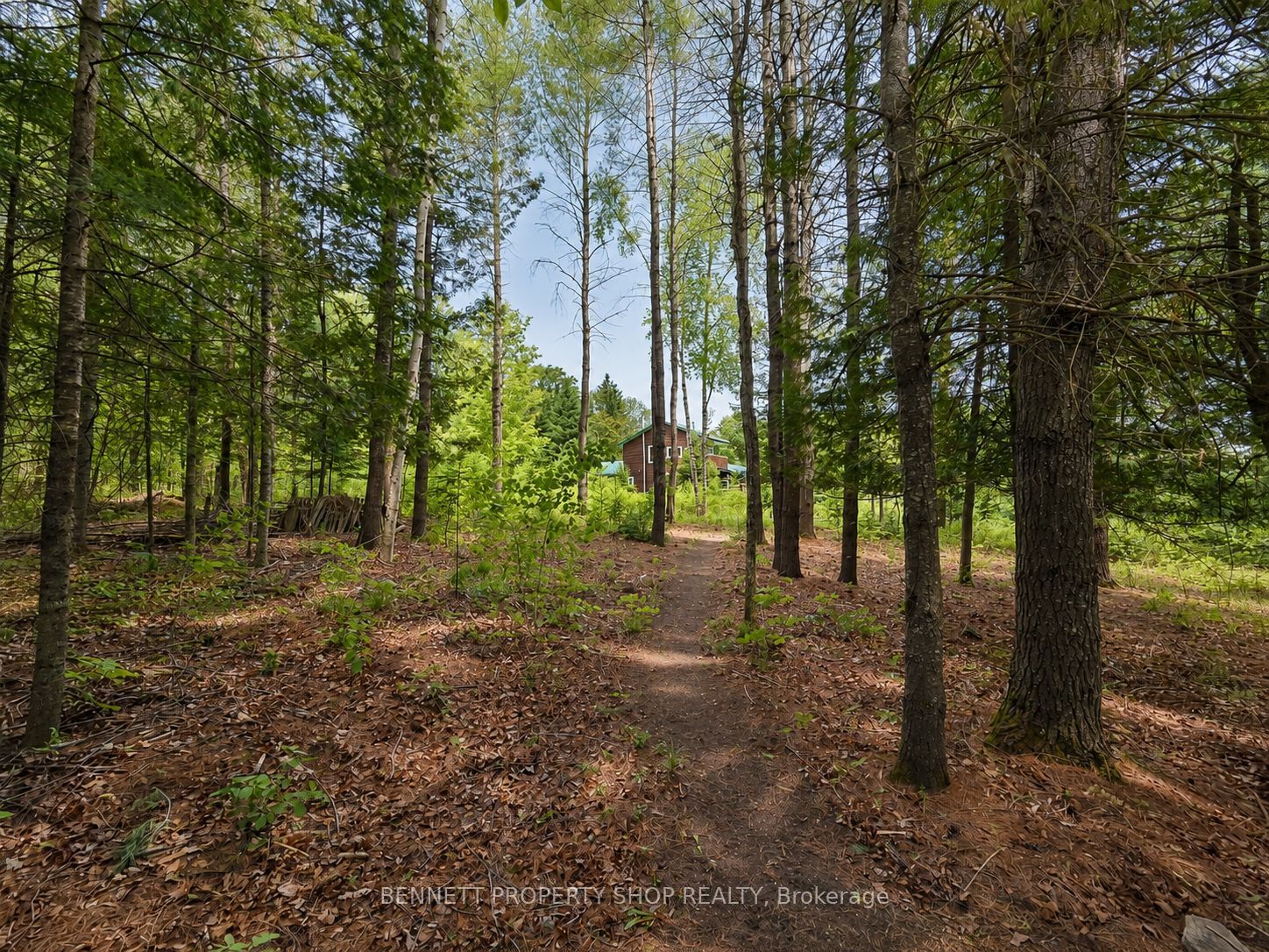 515 Graphite Bay Road Property Photo 3
