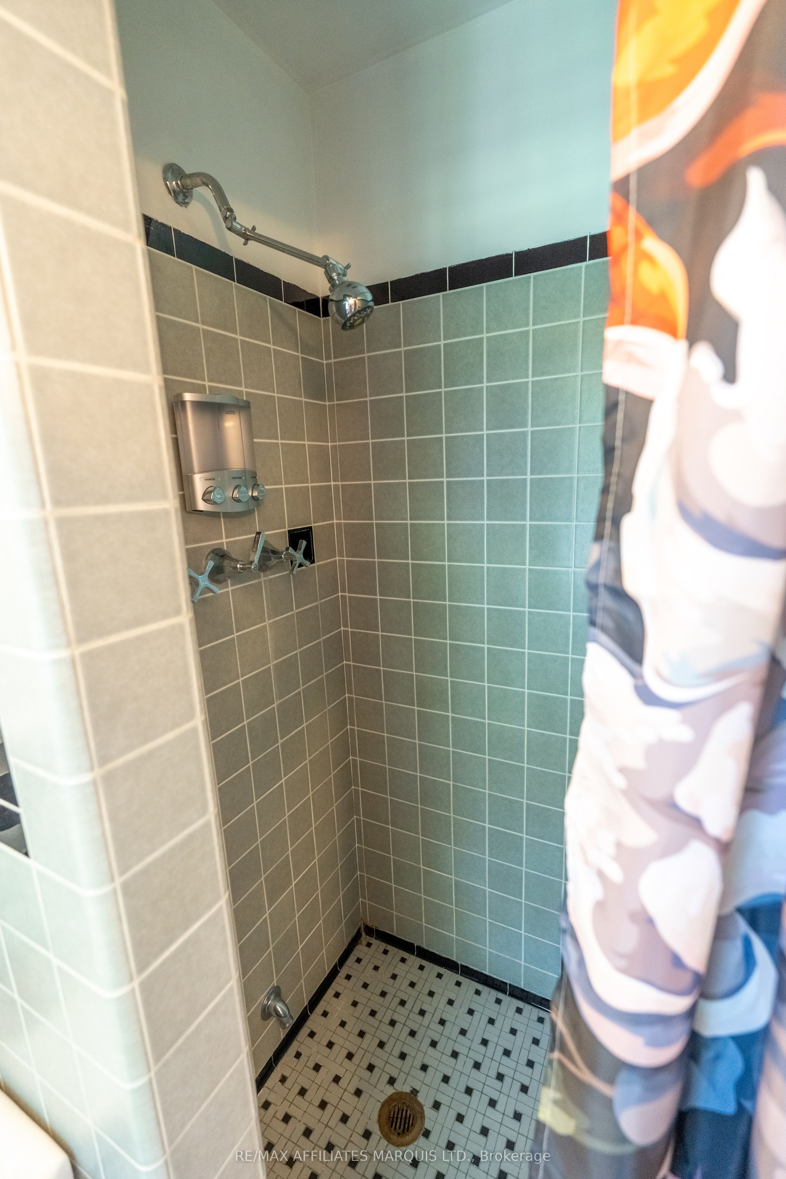 217 Adolphus Street Property Photo 41