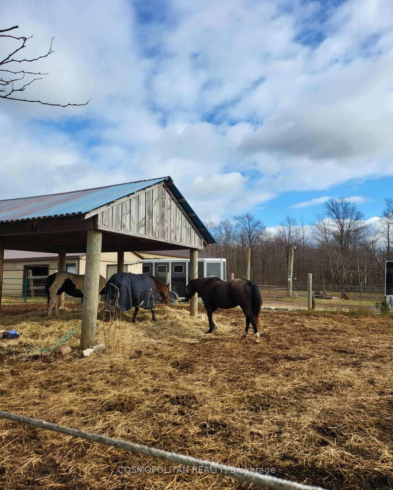 195 Woolverton Road Property Photo 34
