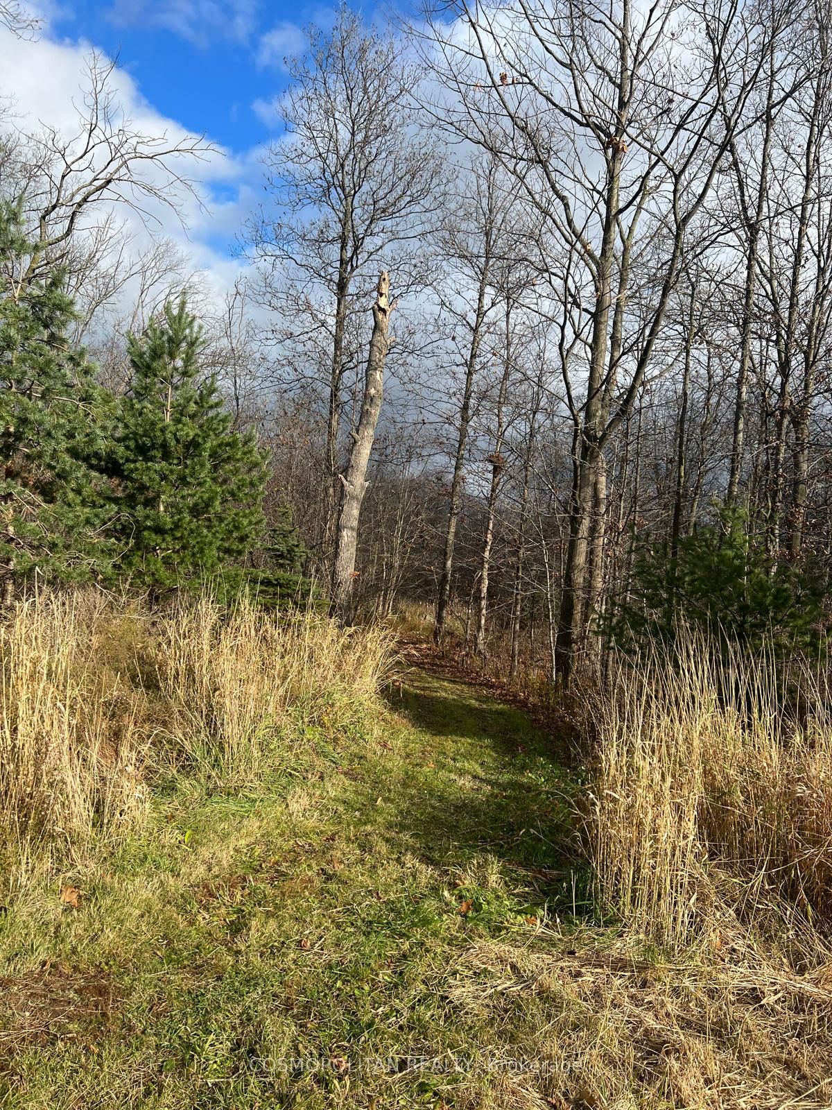 195 Woolverton Road Property Photo 37