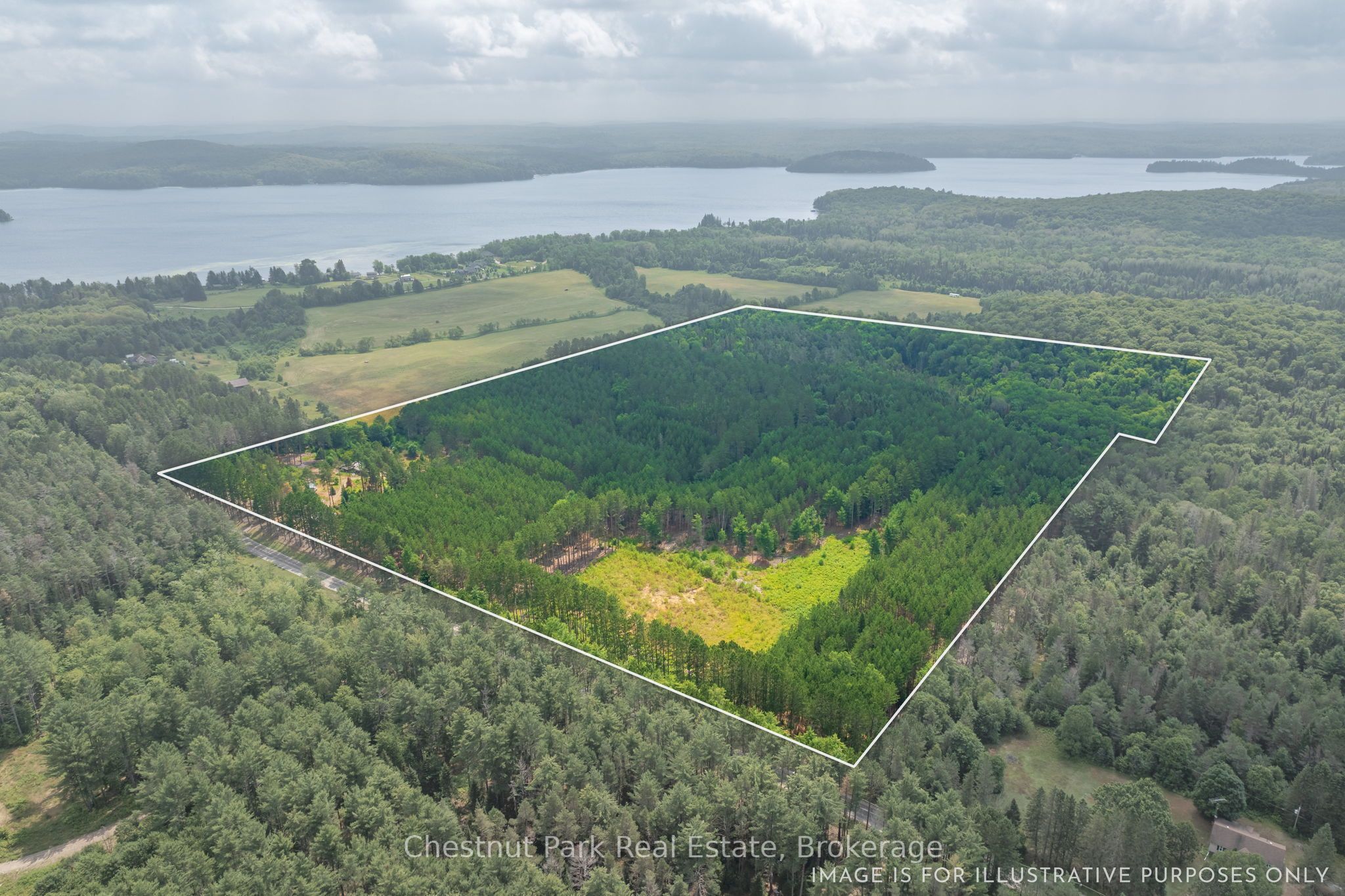 165 James Camp Road Property Photo 2