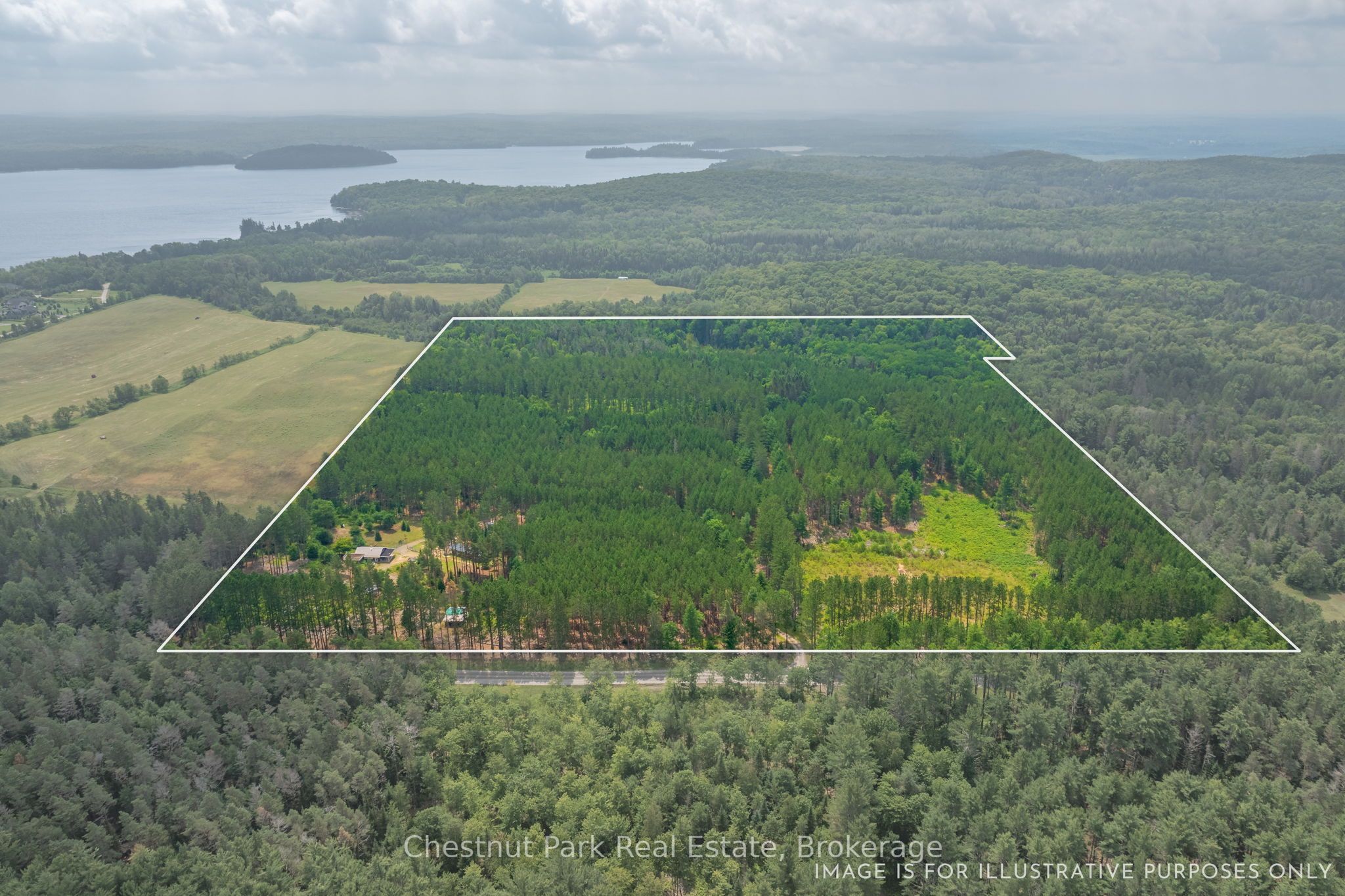 165 James Camp Road Property Photo 3