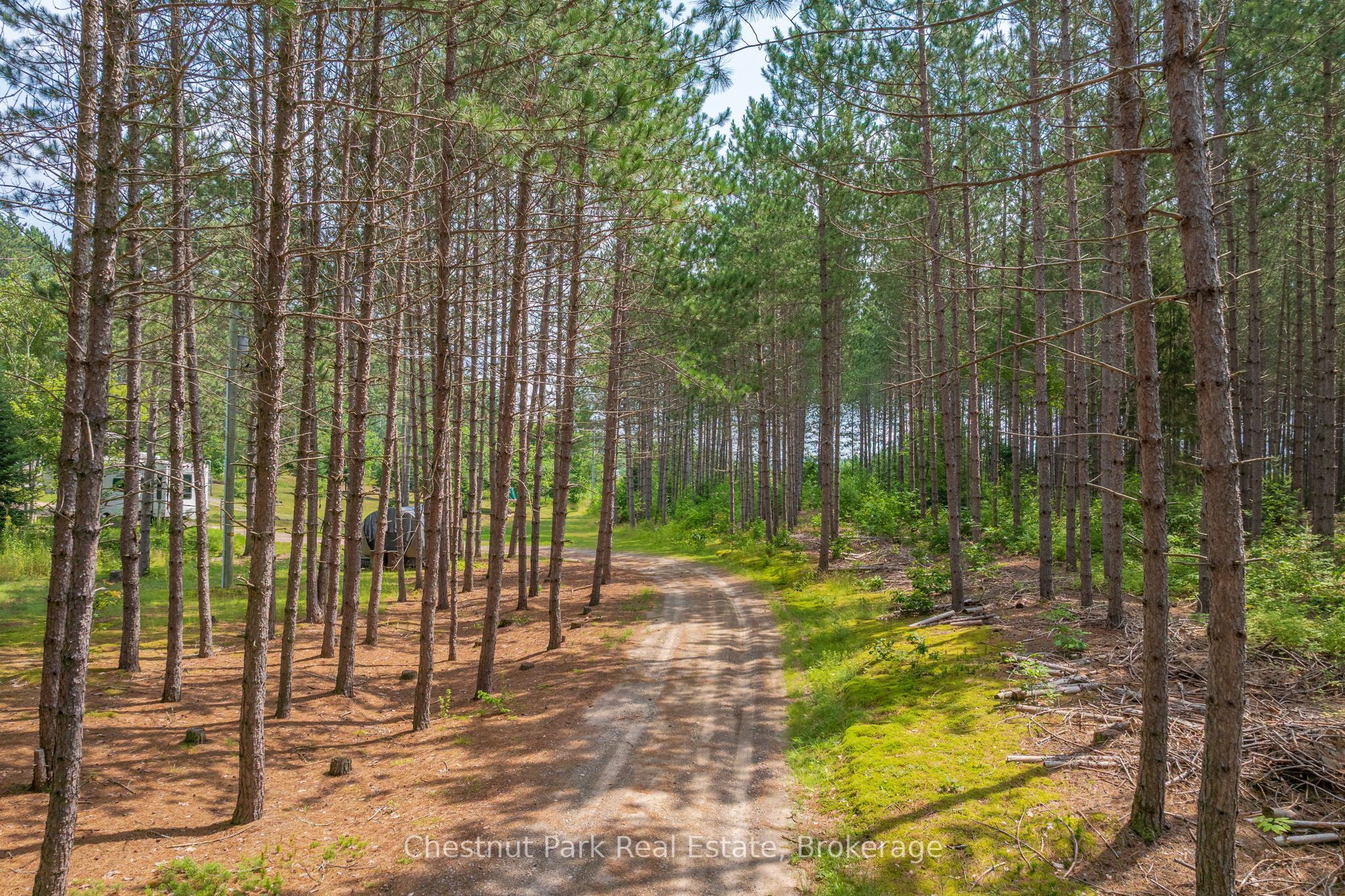165 James Camp Road Property Photo 45