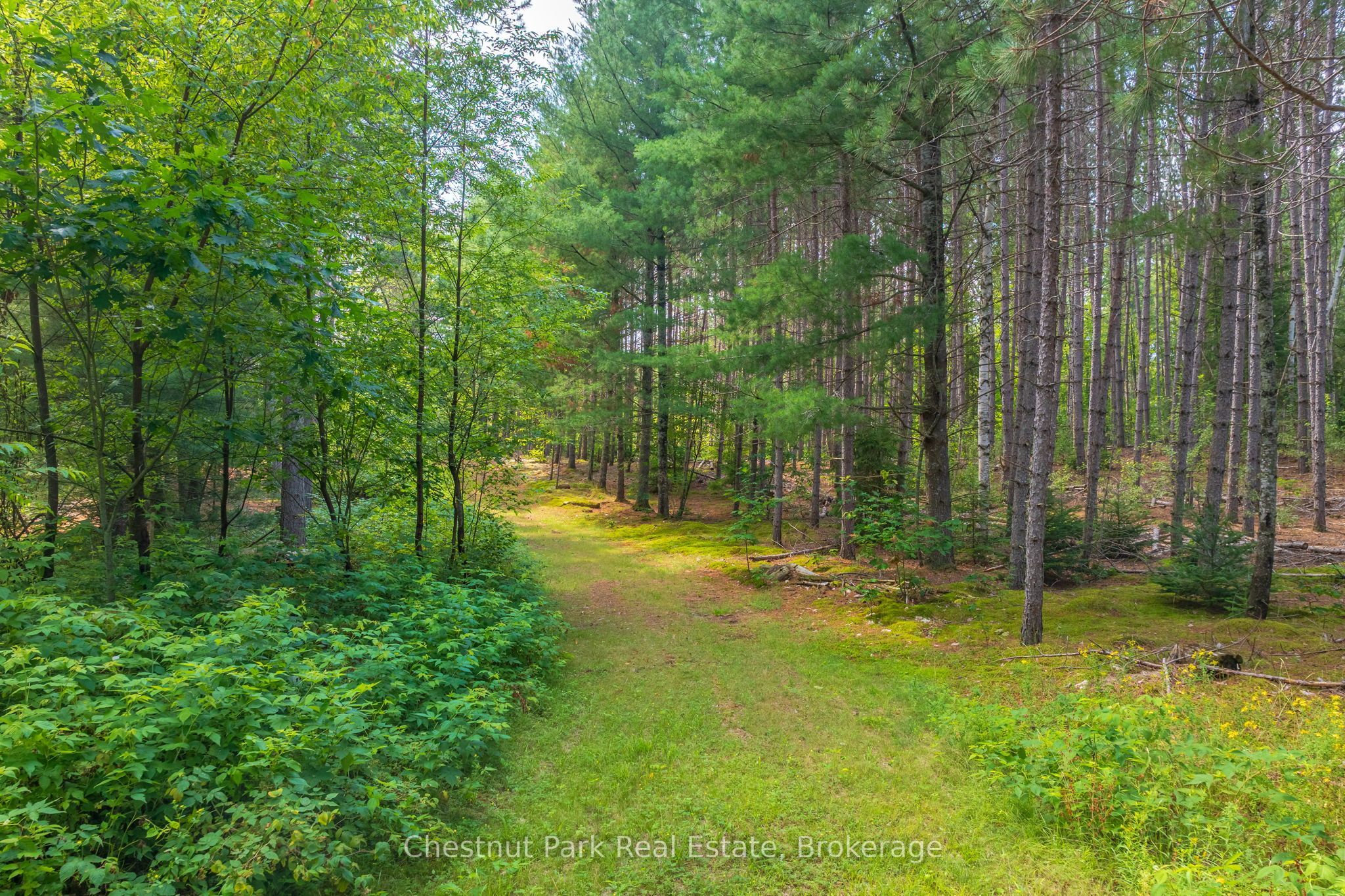165 James Camp Road Property Photo 47