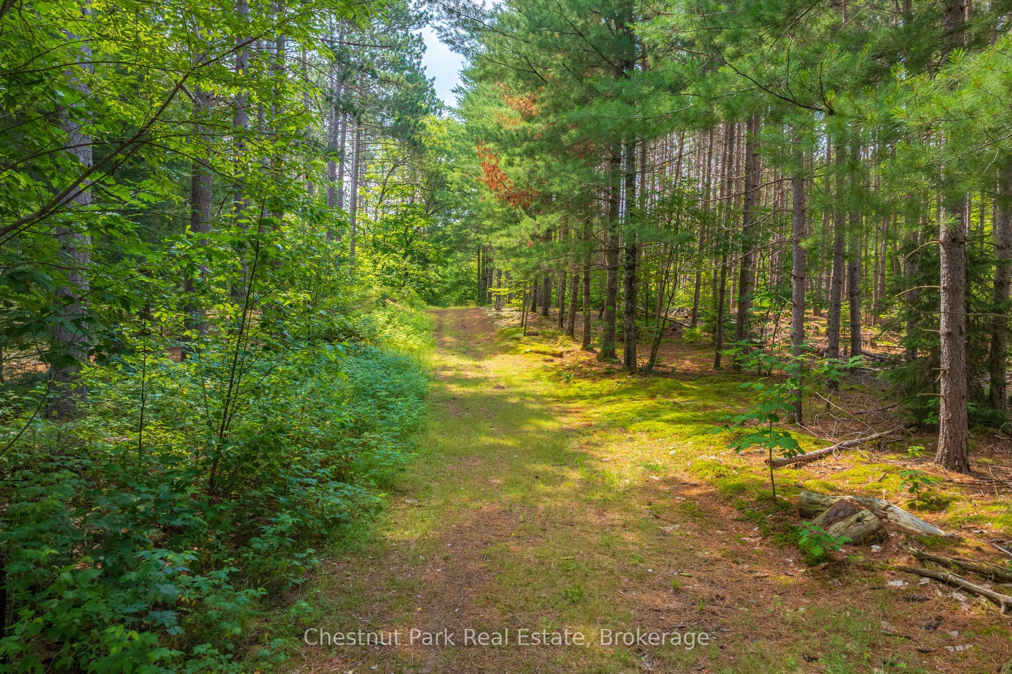 165 James Camp Road Property Photo 48