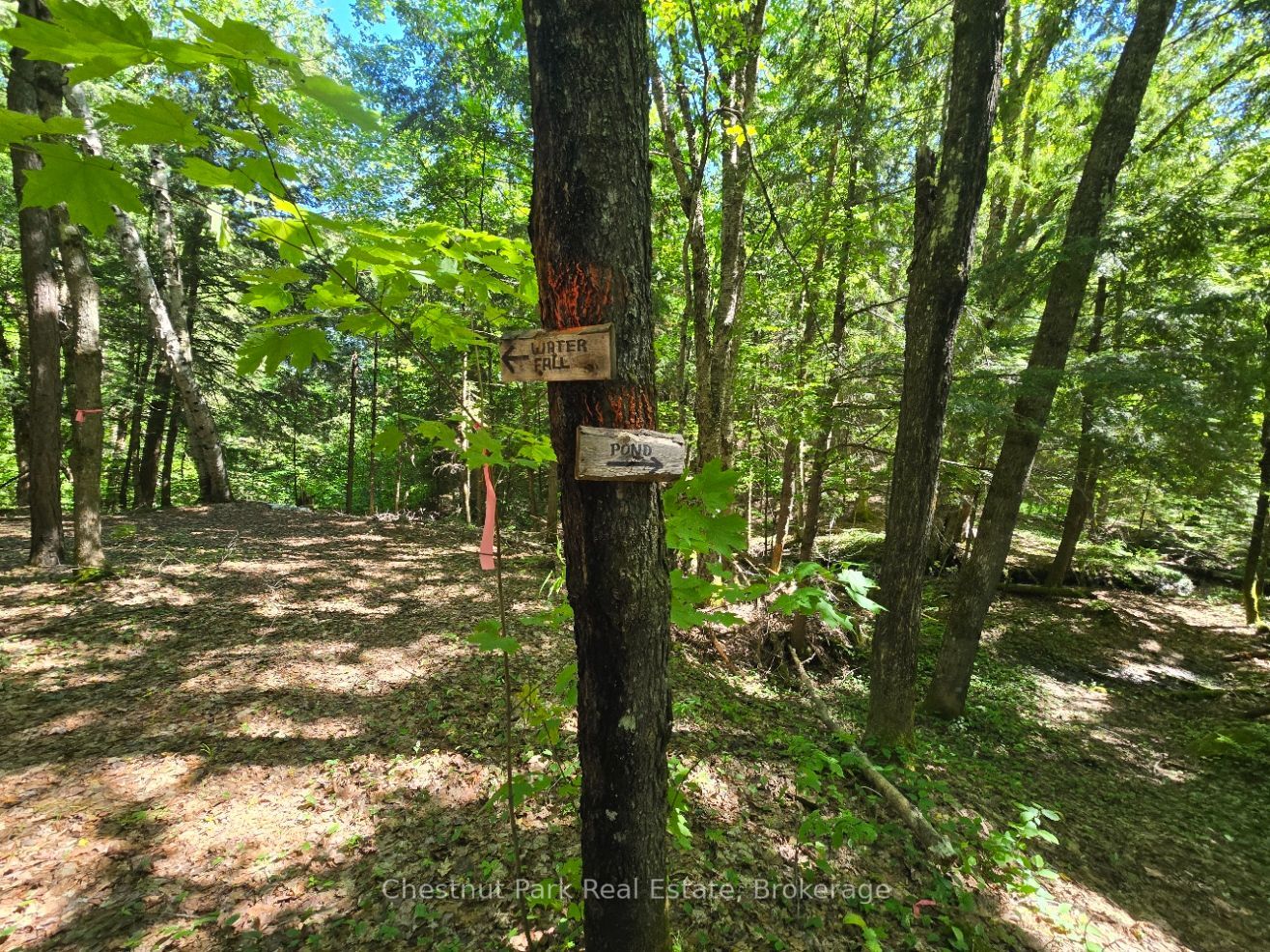 165 James Camp Road Property Photo 49