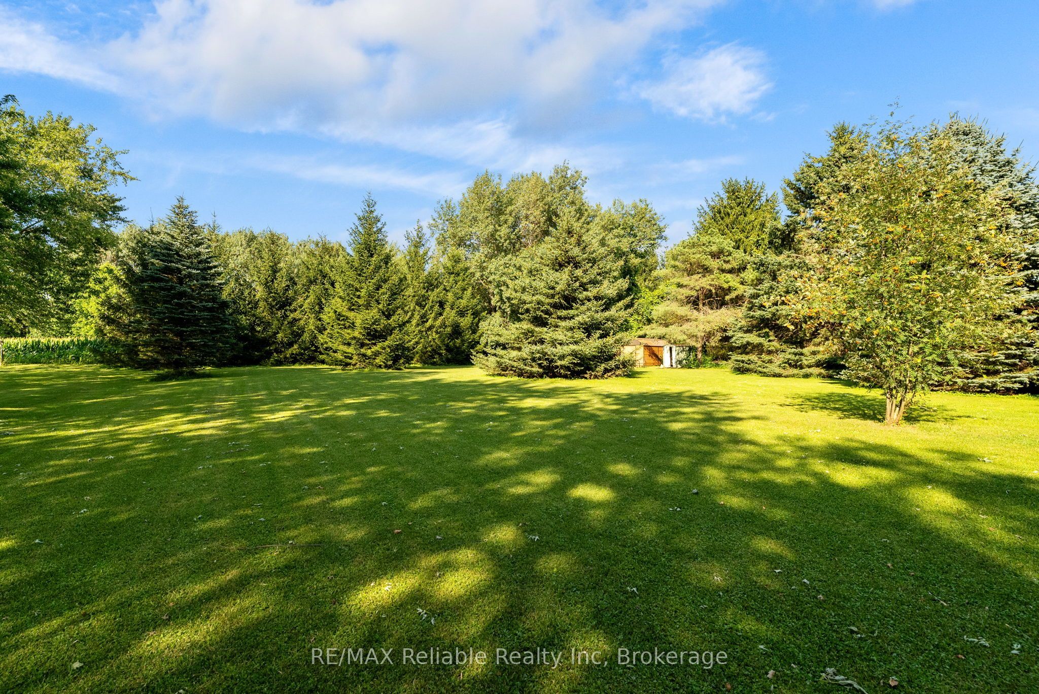 40356 Hydro Line Road Property Photo 32