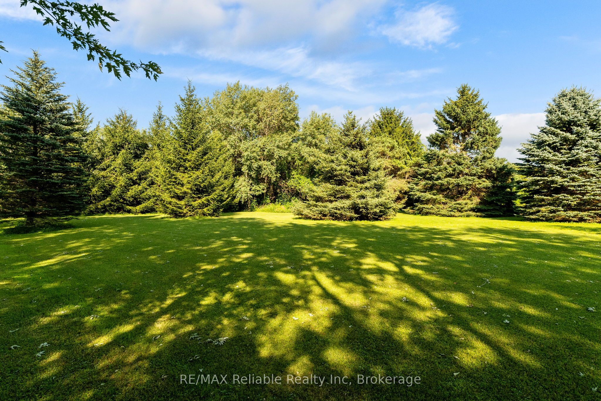 40356 Hydro Line Road Property Photo 33