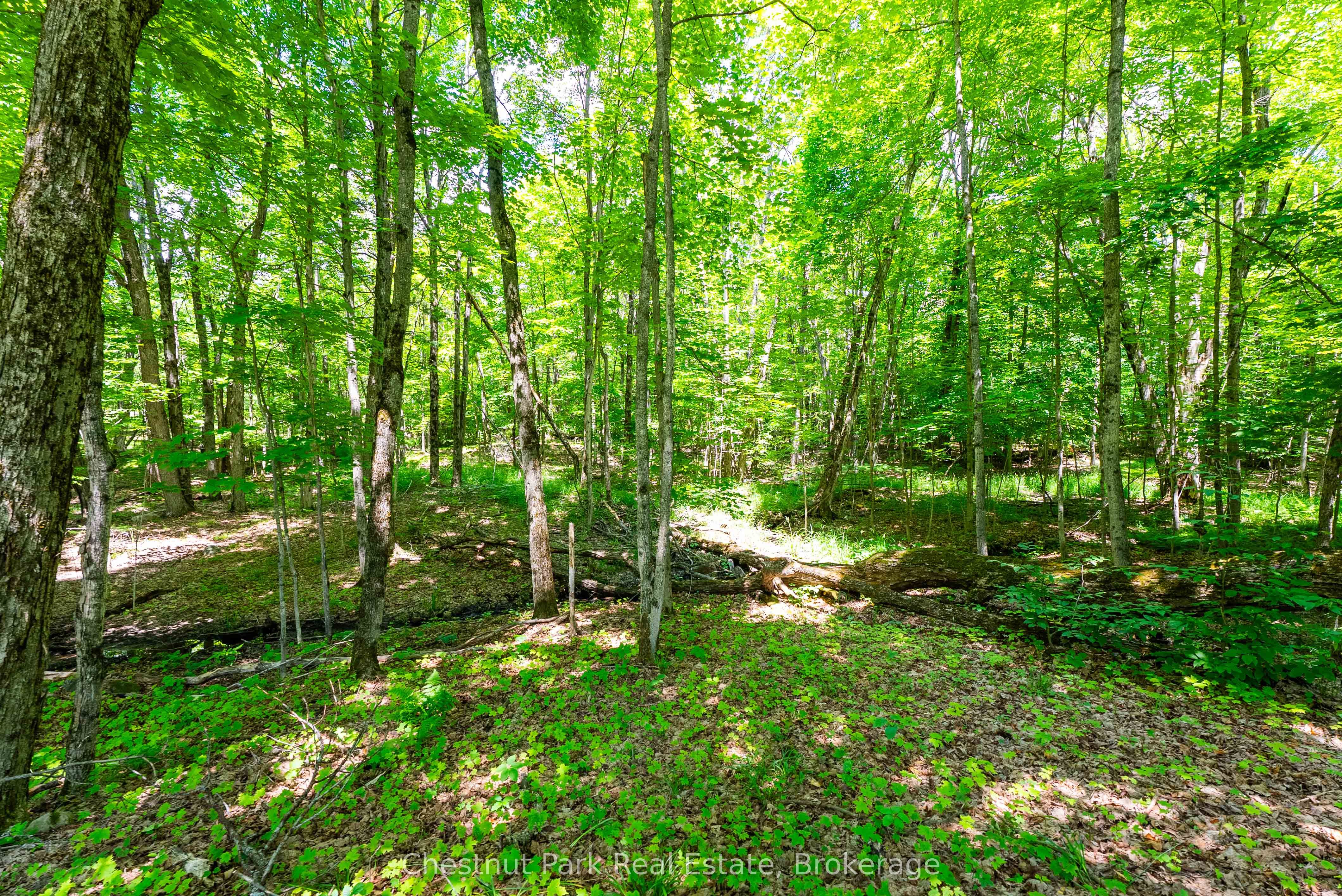 1435 Juddhaven Road Property Photo 6