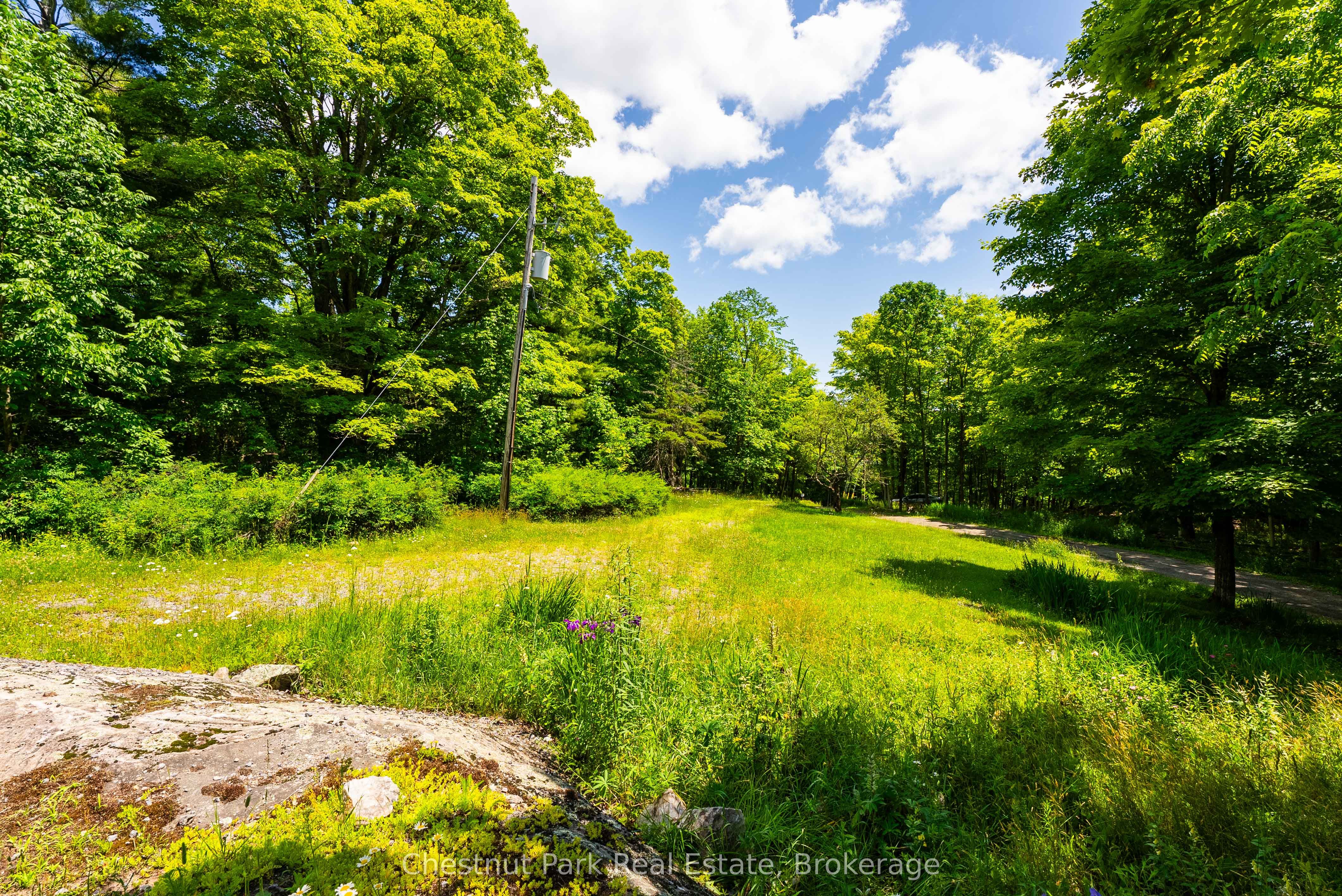 1435 Juddhaven Road Property Photo 22