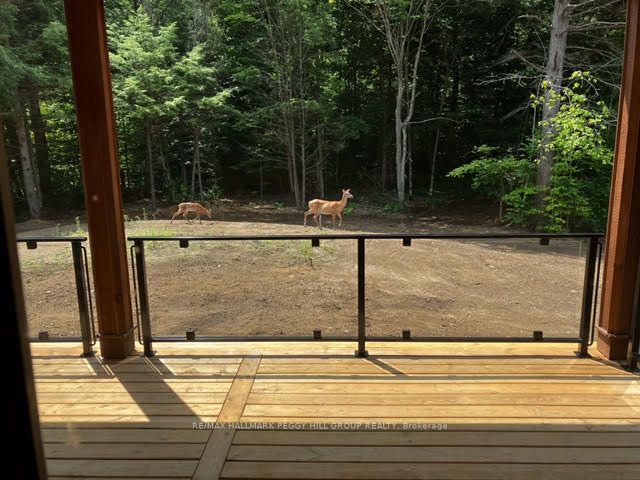 4571 Aspdin Road Property Photo 27