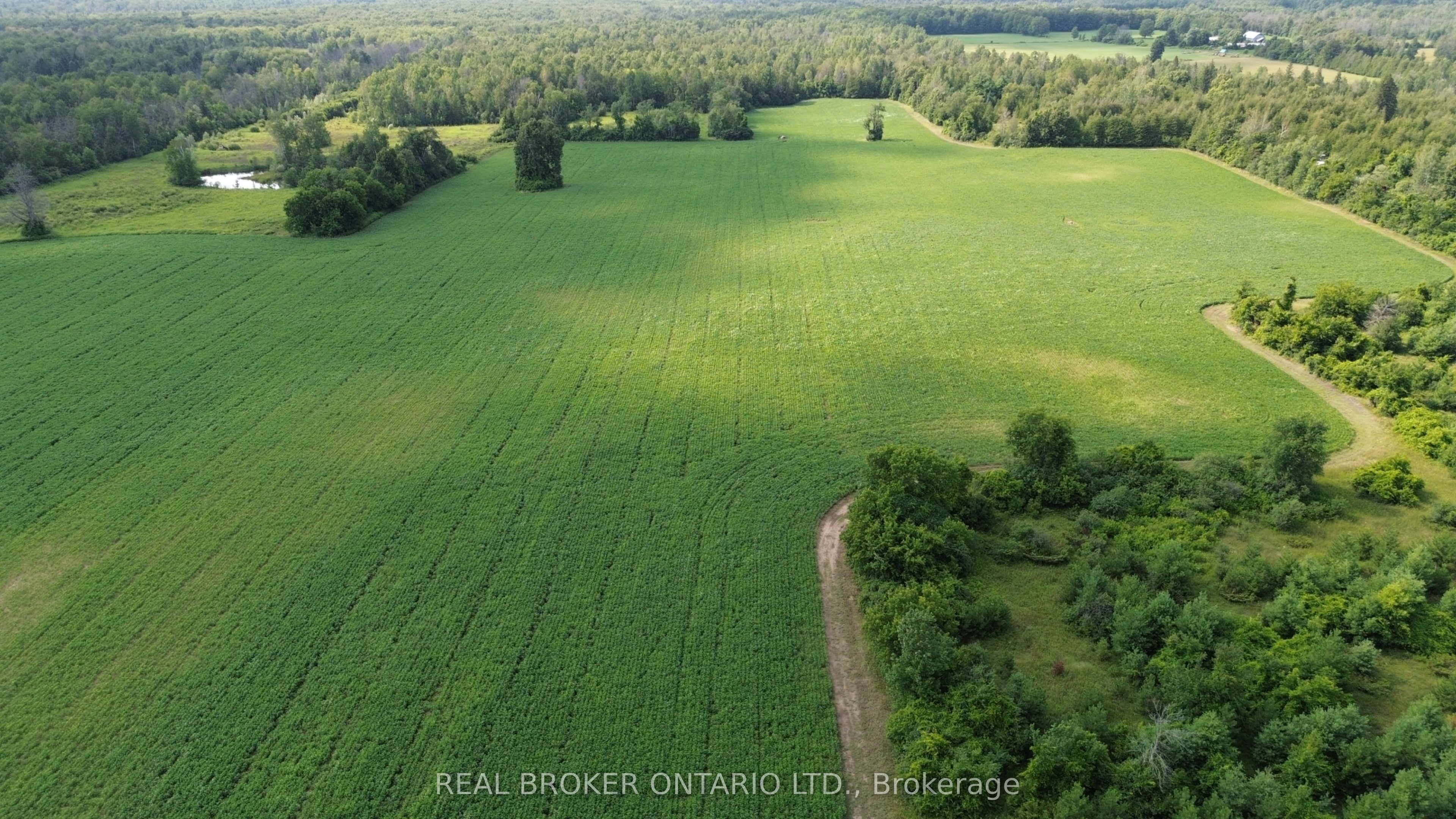 3115 Paden Road Property Photo 1
