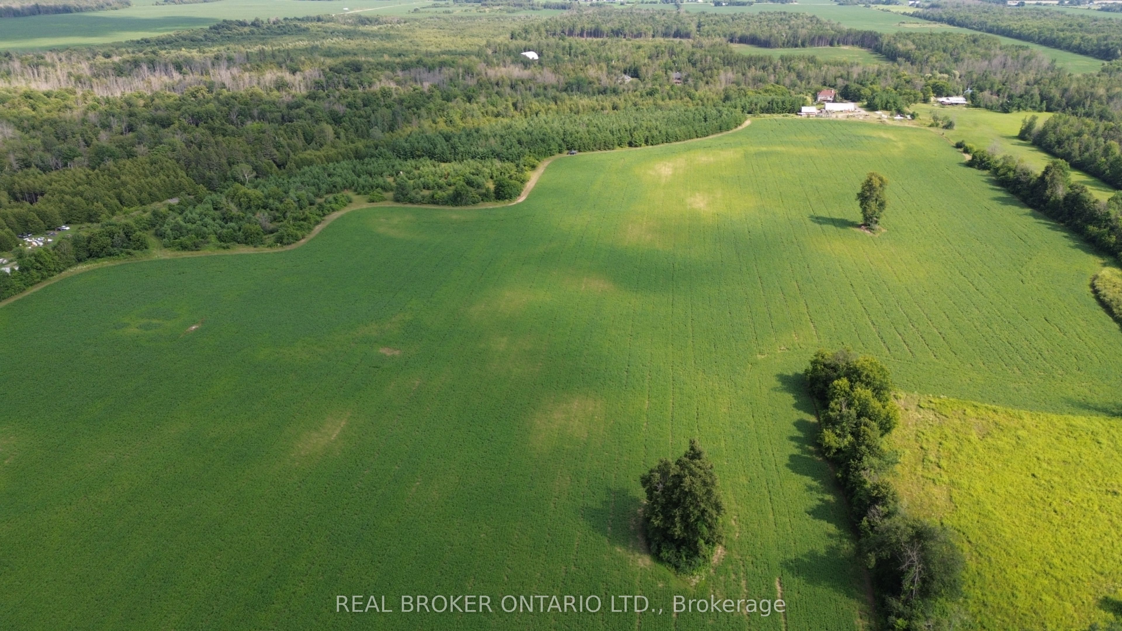 3115 Paden Road Property Photo 2