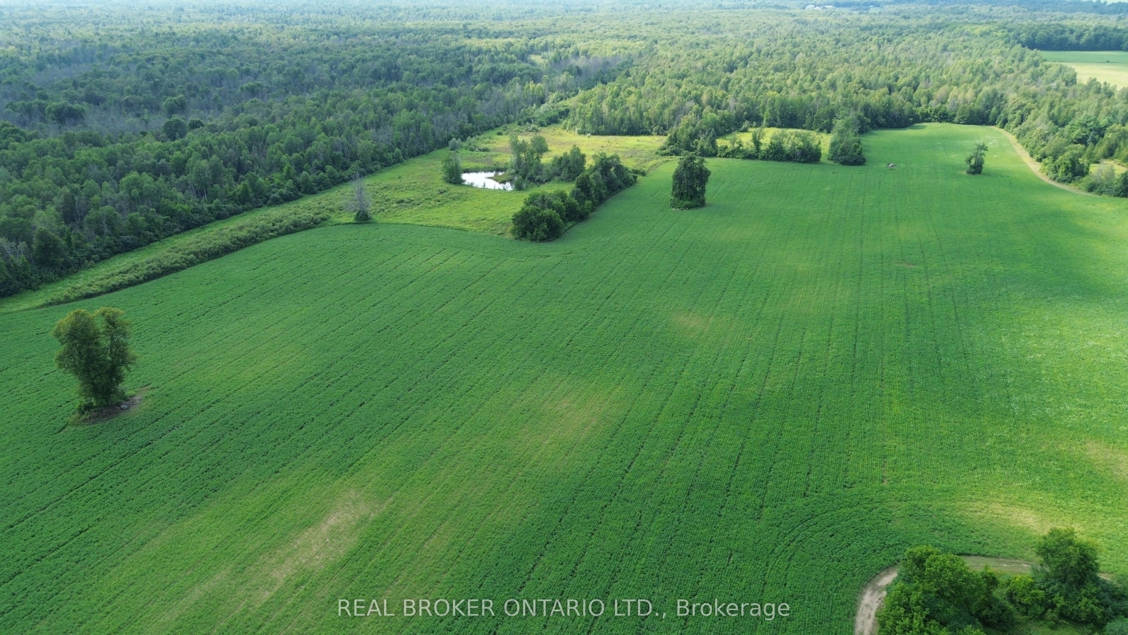 3115 Paden Road Property Photo 7