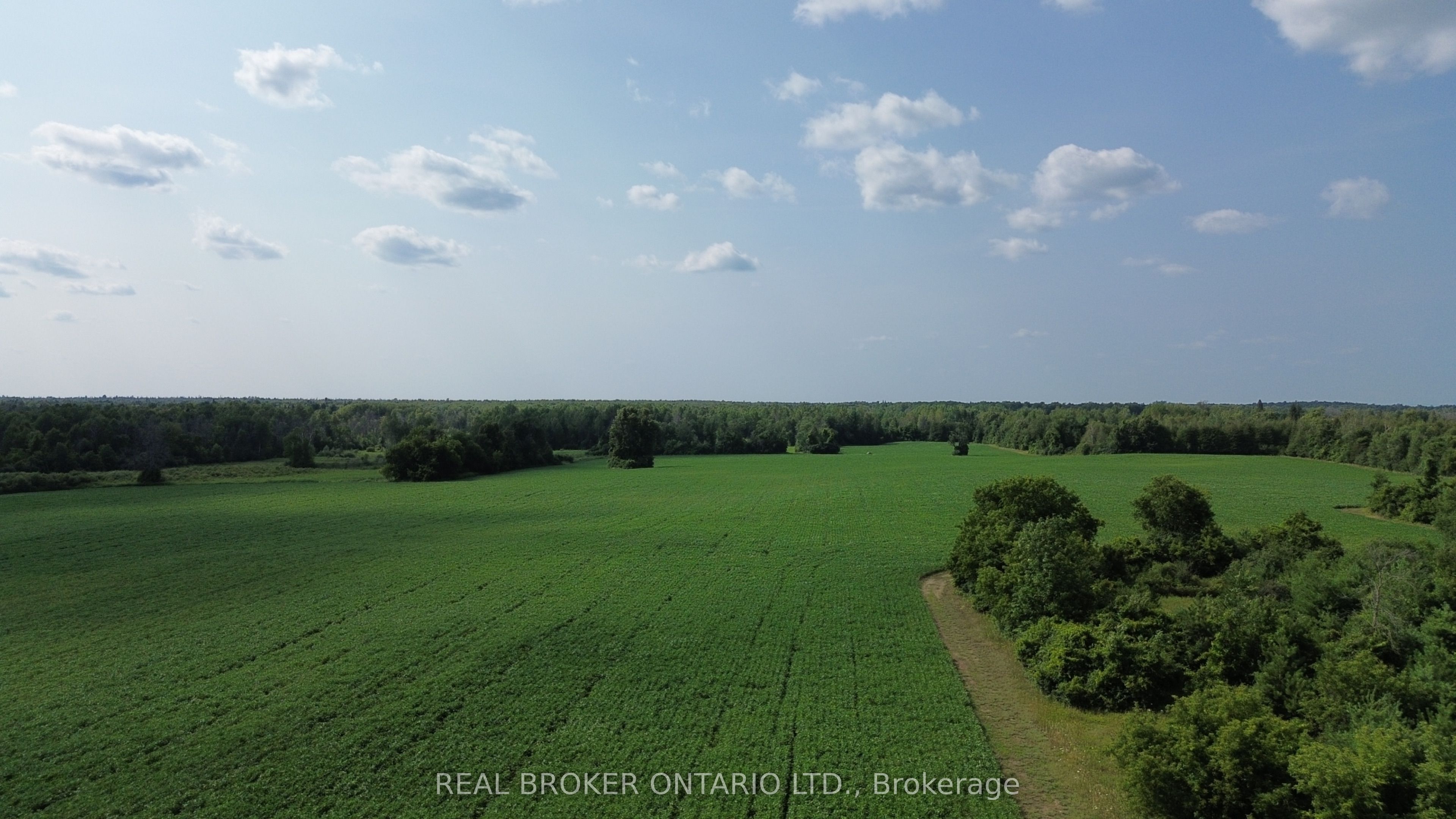3115 Paden Road Property Photo 8
