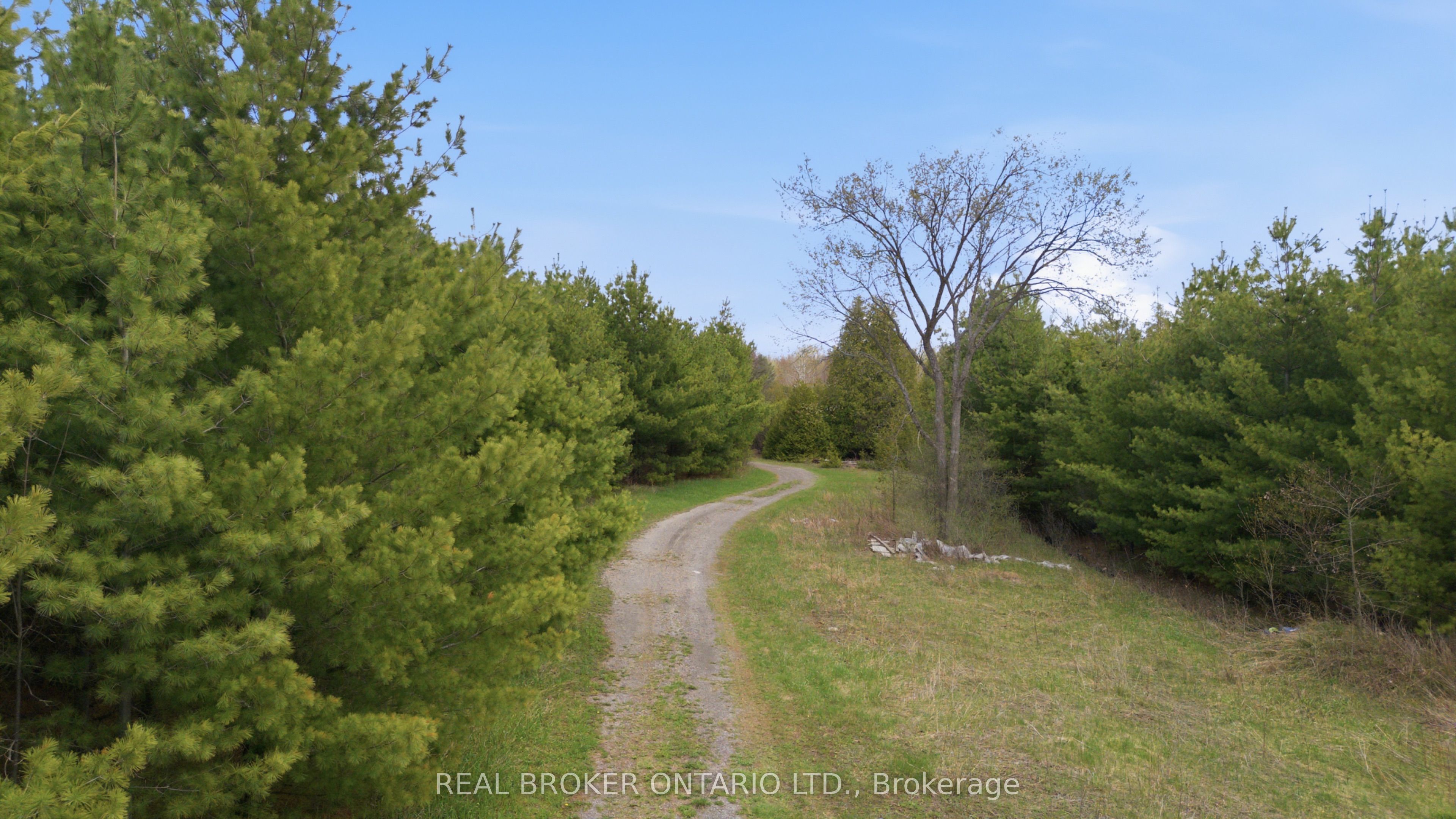3115 Paden Road Property Photo 9
