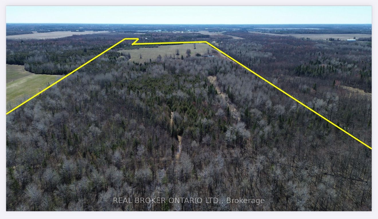 3115 Paden Road Property Photo 10