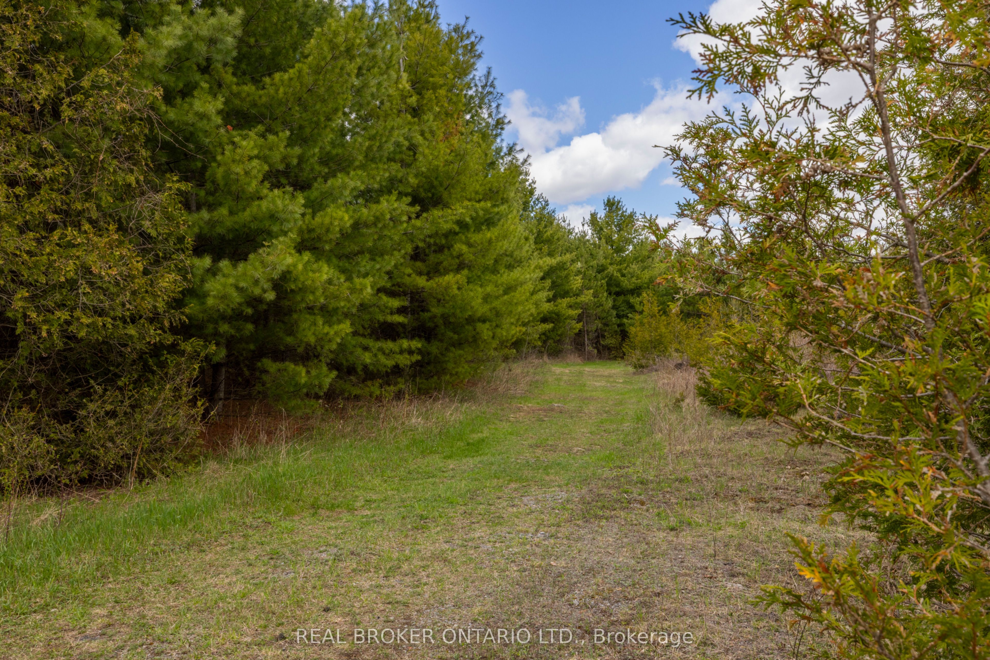 3115 Paden Road Property Photo 12