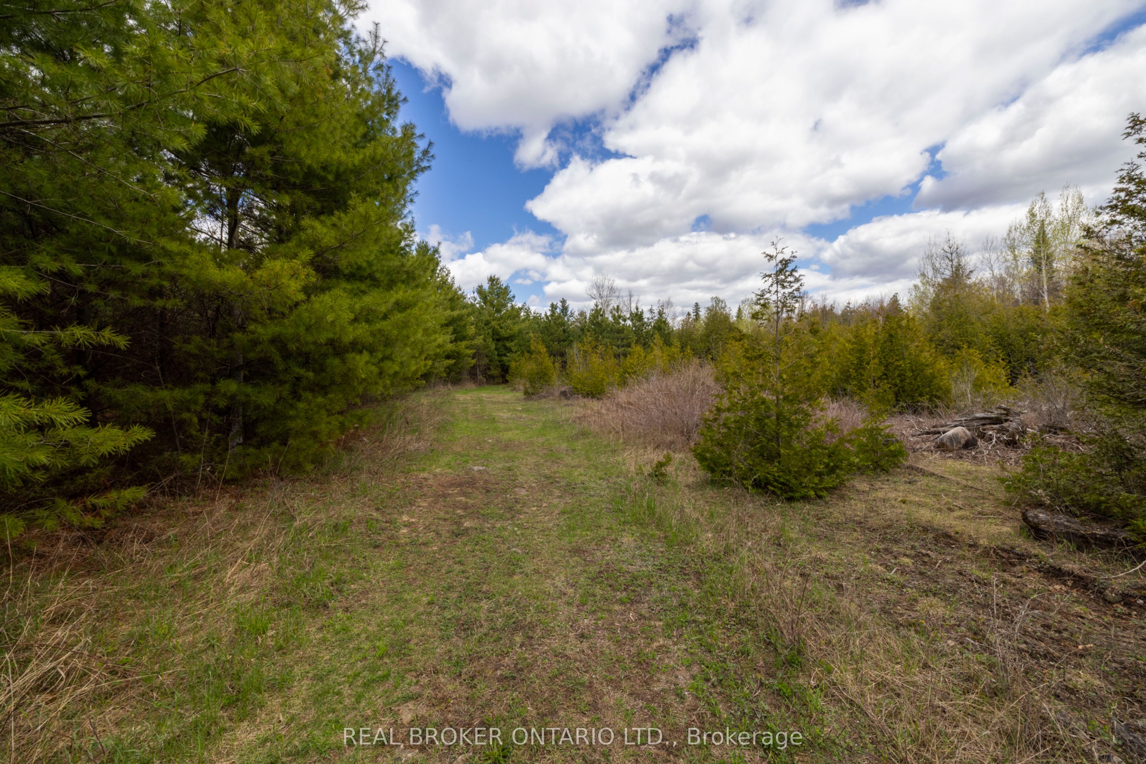 3115 Paden Road Property Photo 13