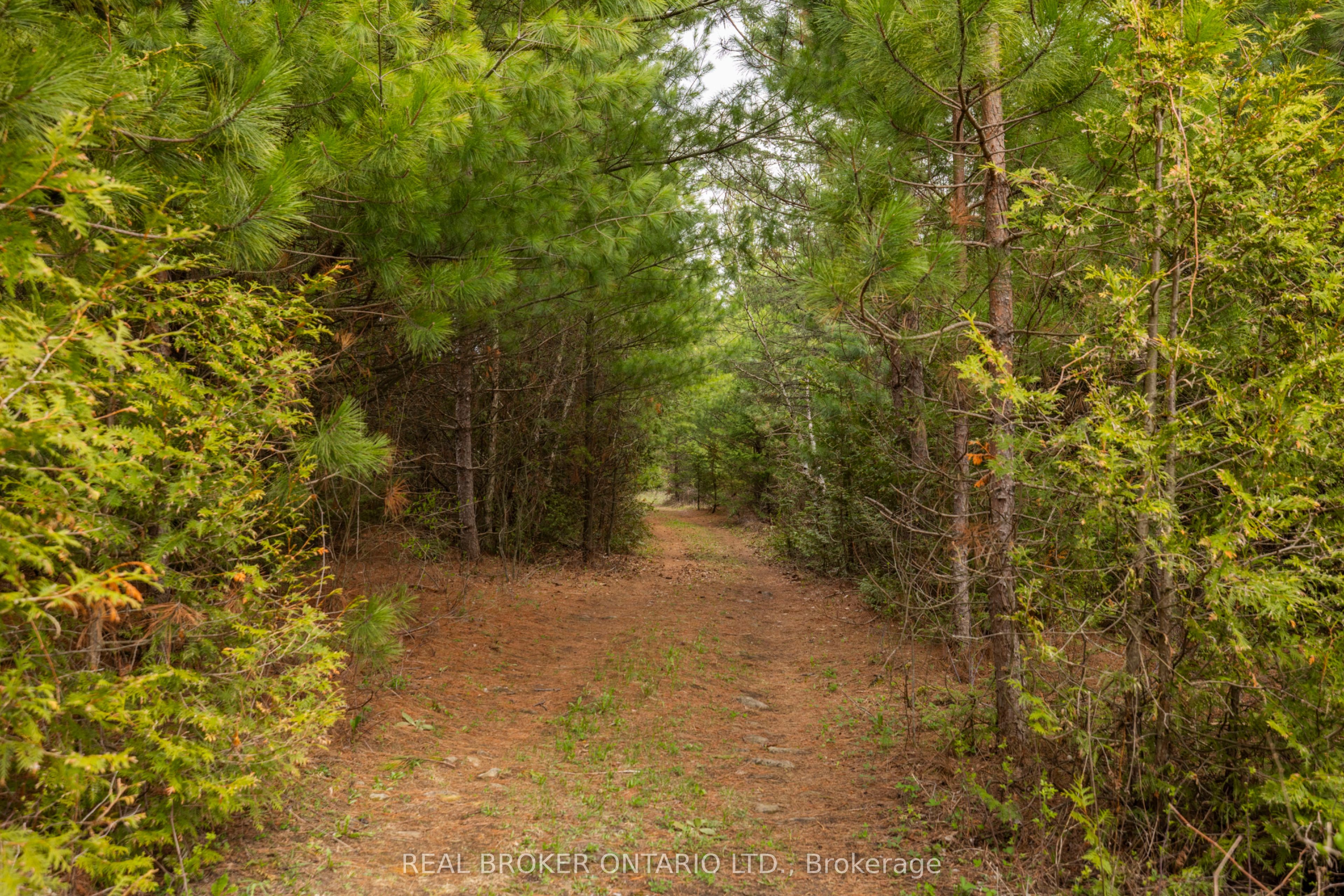 3115 Paden Road Property Photo 14