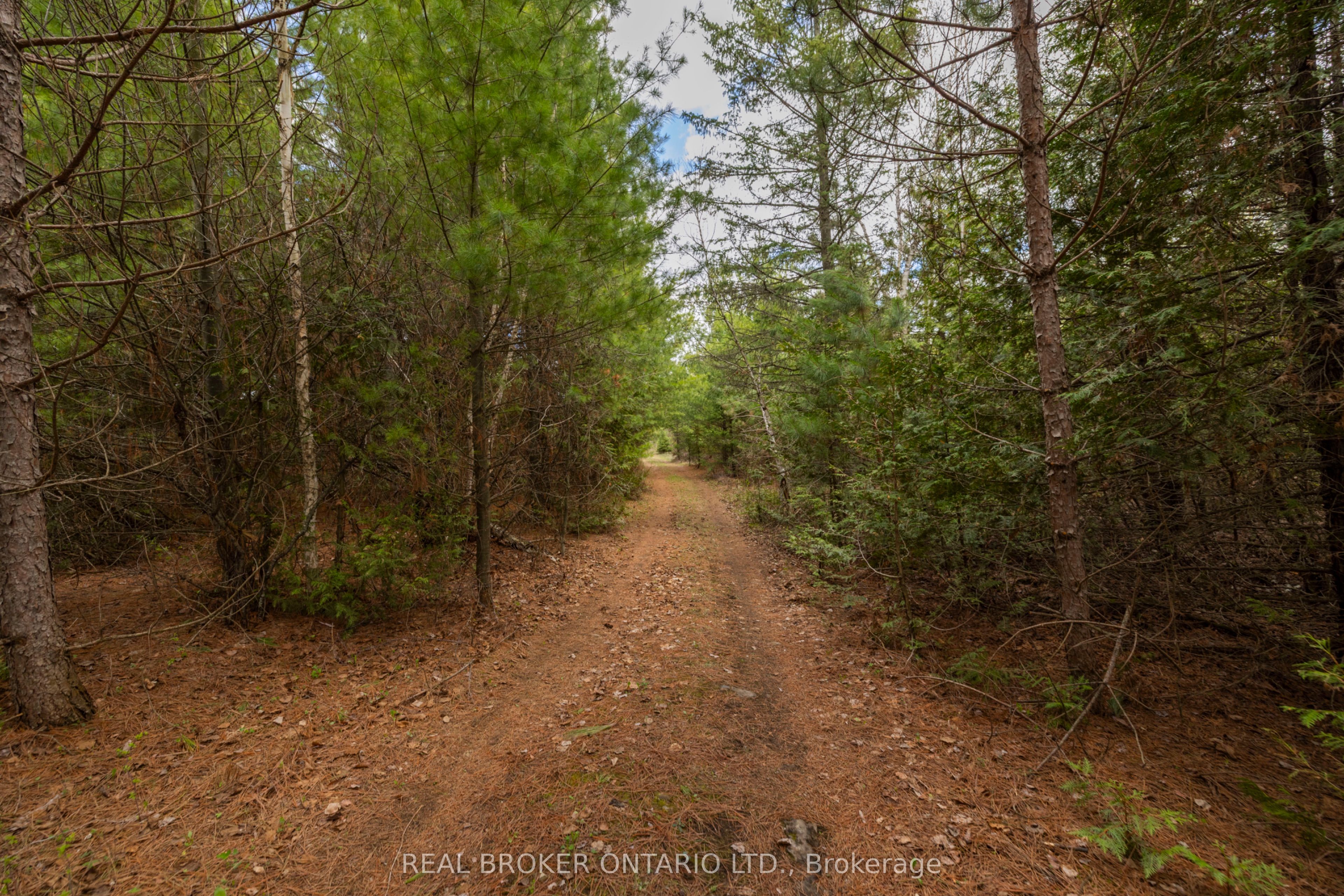 3115 Paden Road Property Photo 15
