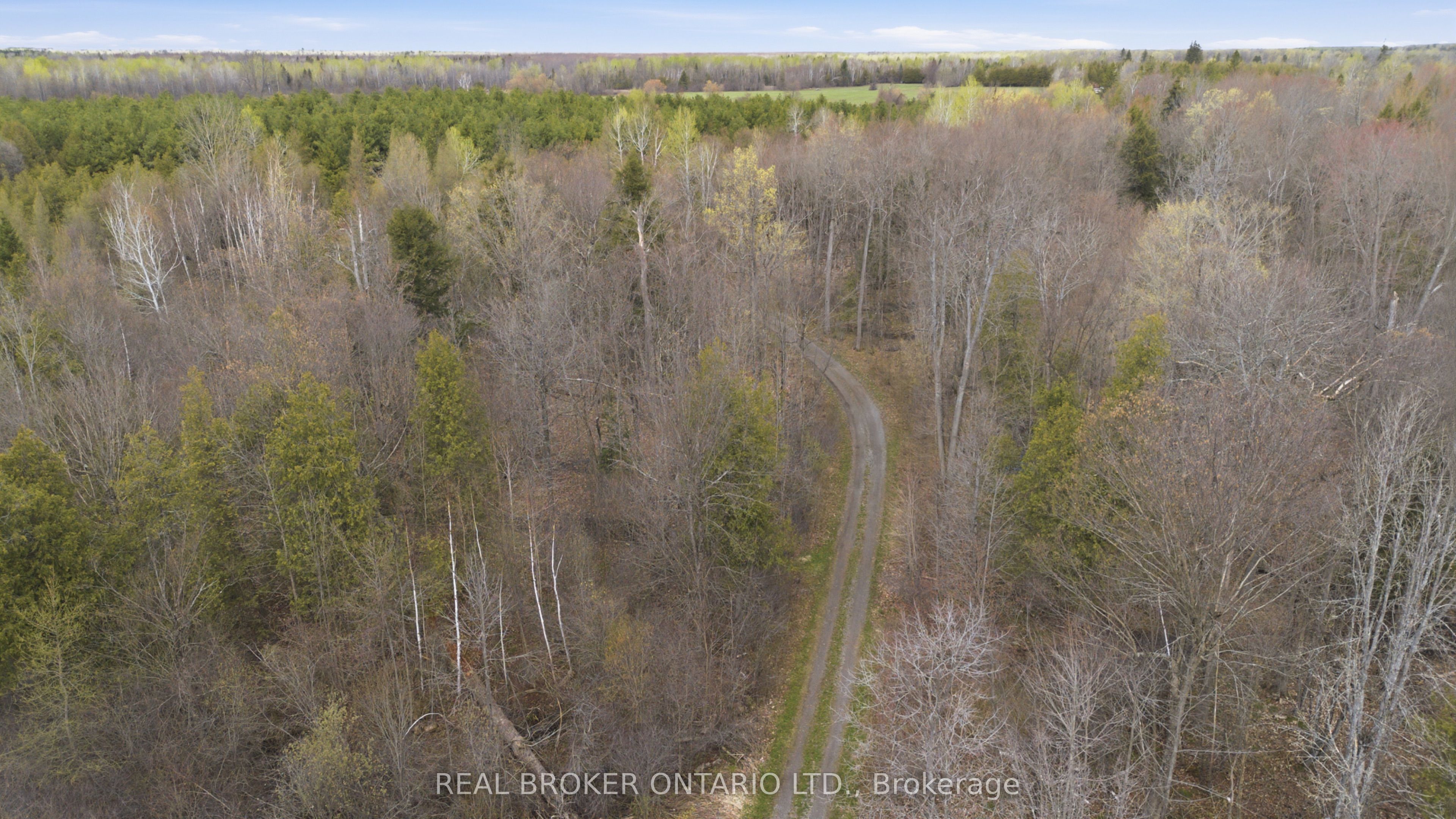 3115 Paden Road Property Photo 18