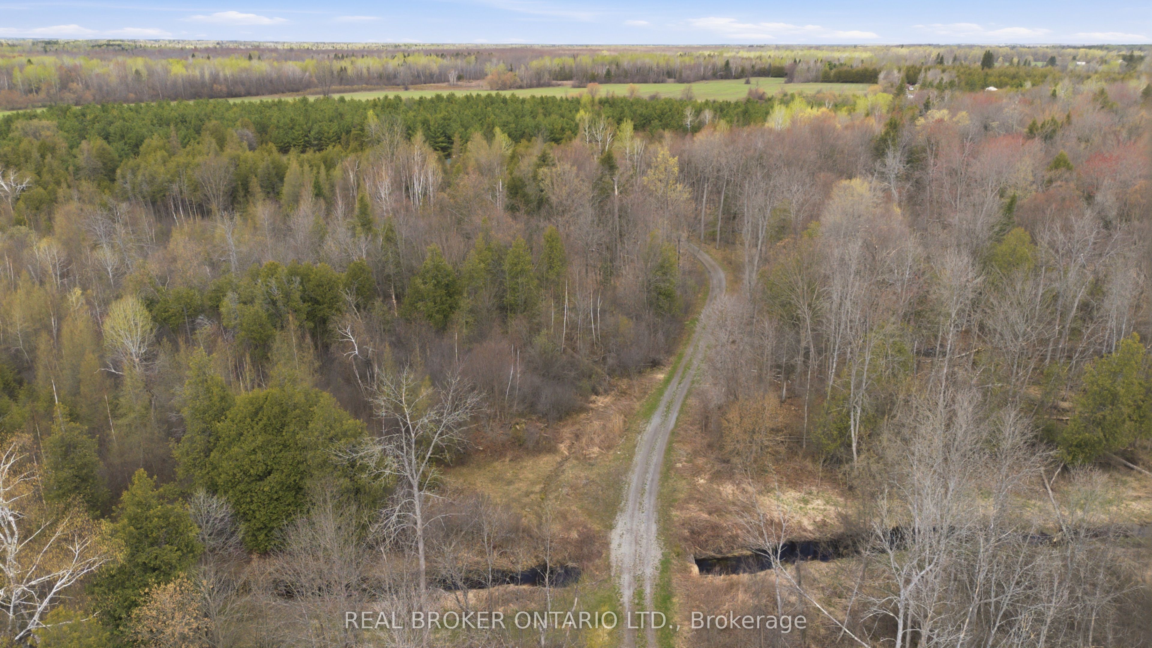 3115 Paden Road Property Photo 19