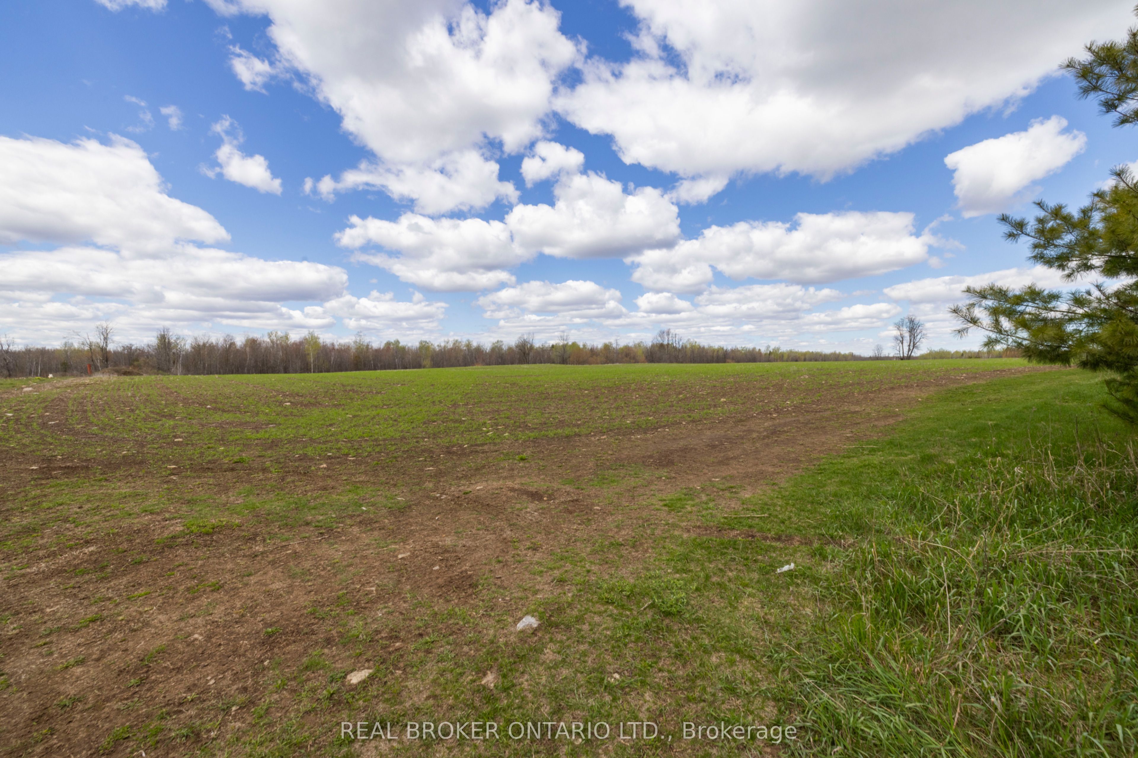 3115 Paden Road Property Photo 25