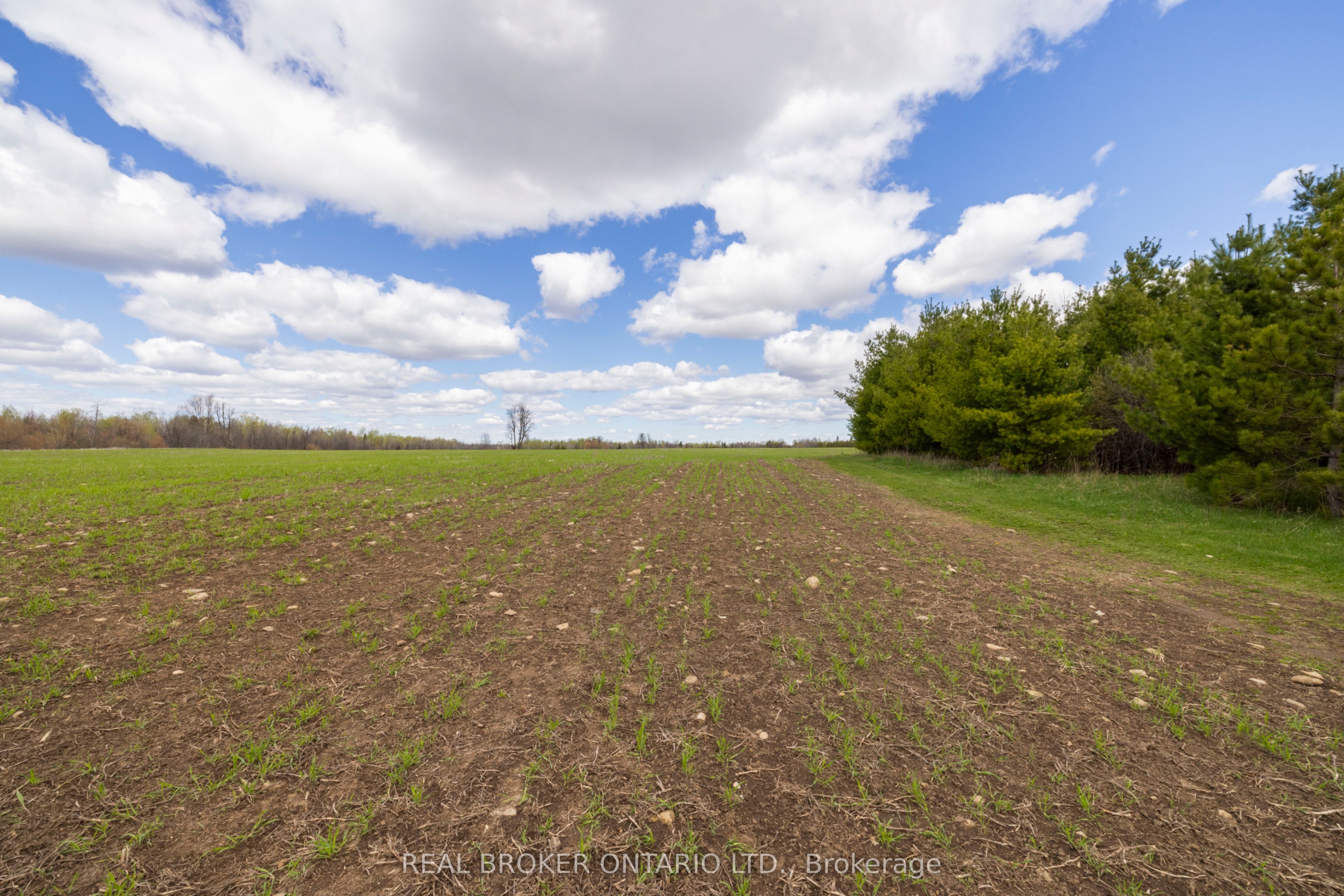 3115 Paden Road Property Photo 26
