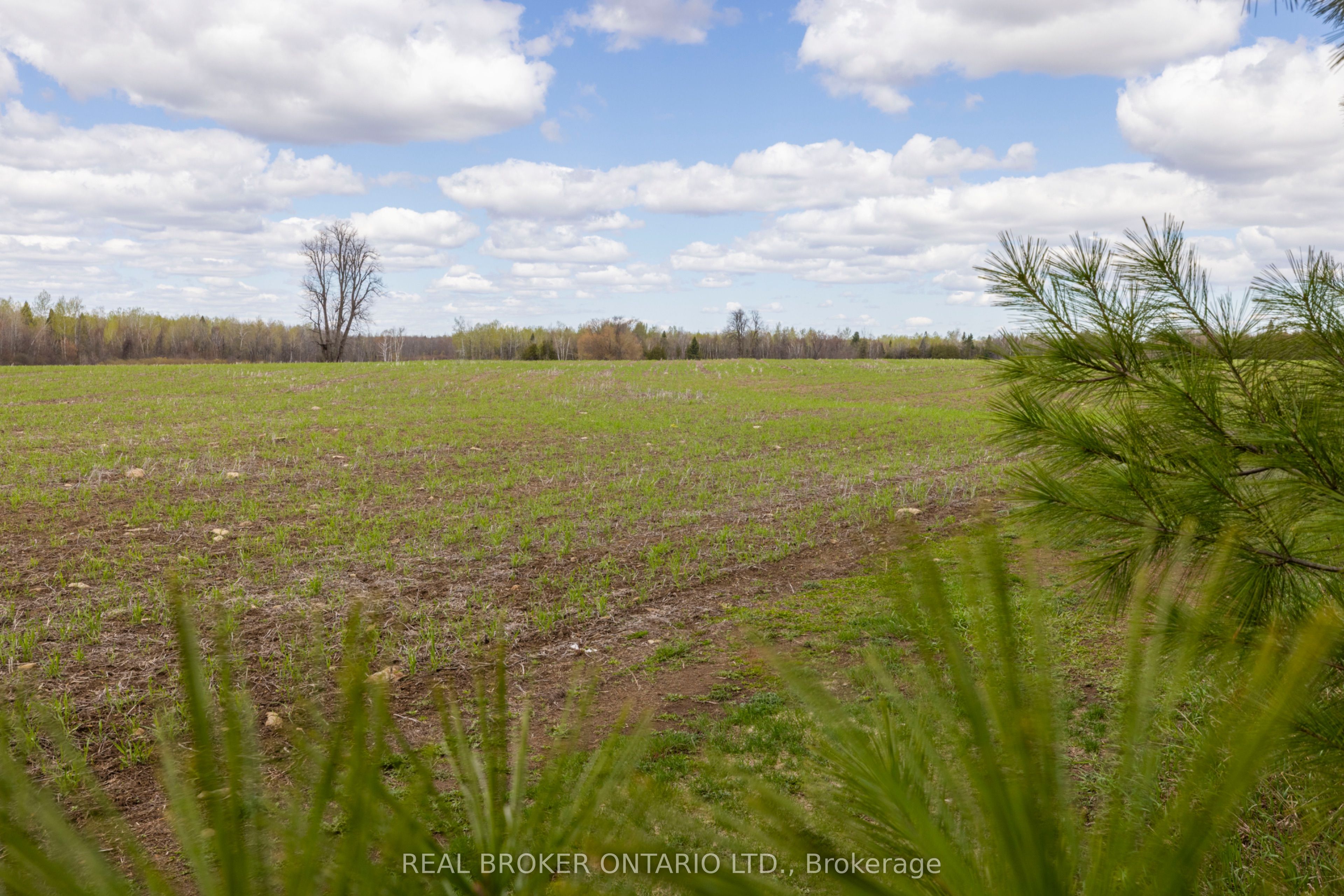 3115 Paden Road Property Photo 27